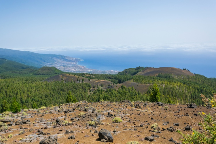 Foto de Luca N en Unsplash Foto de Luca N en Unsplash