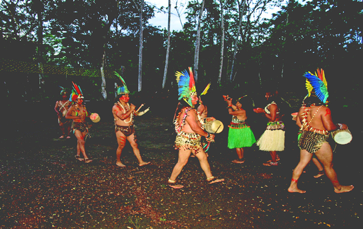 Solo hacen falta 23 hormigas para hacer un hormiguero Solo hacen falta 23 hormigas para hacer un hormiguero