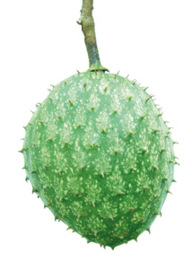 freeimages.com freeimages.com