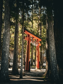 Foto de V C en Unsplash