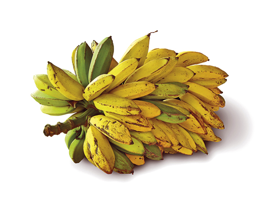 freeimages.com freeimages.com