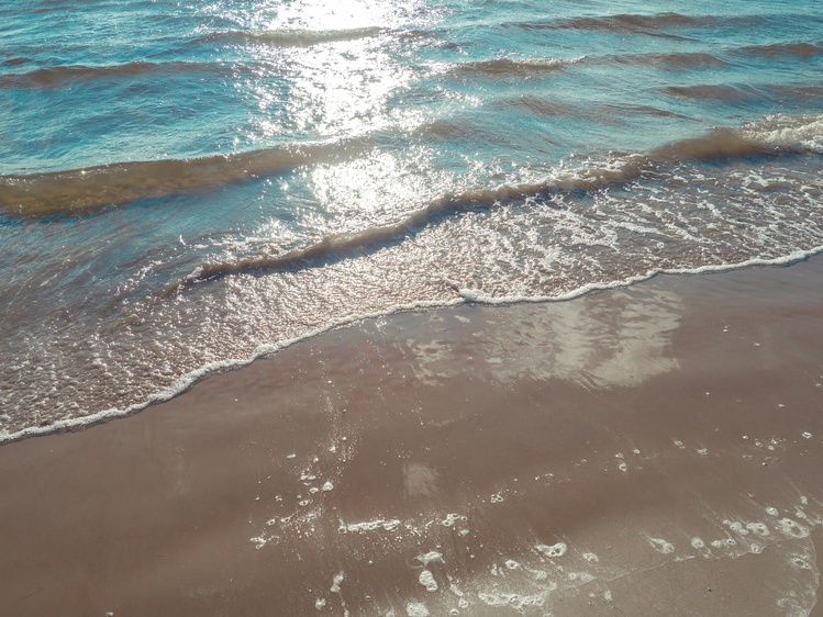 Foto de Tatiana P en Unsplash Foto de Tatiana P en Unsplash