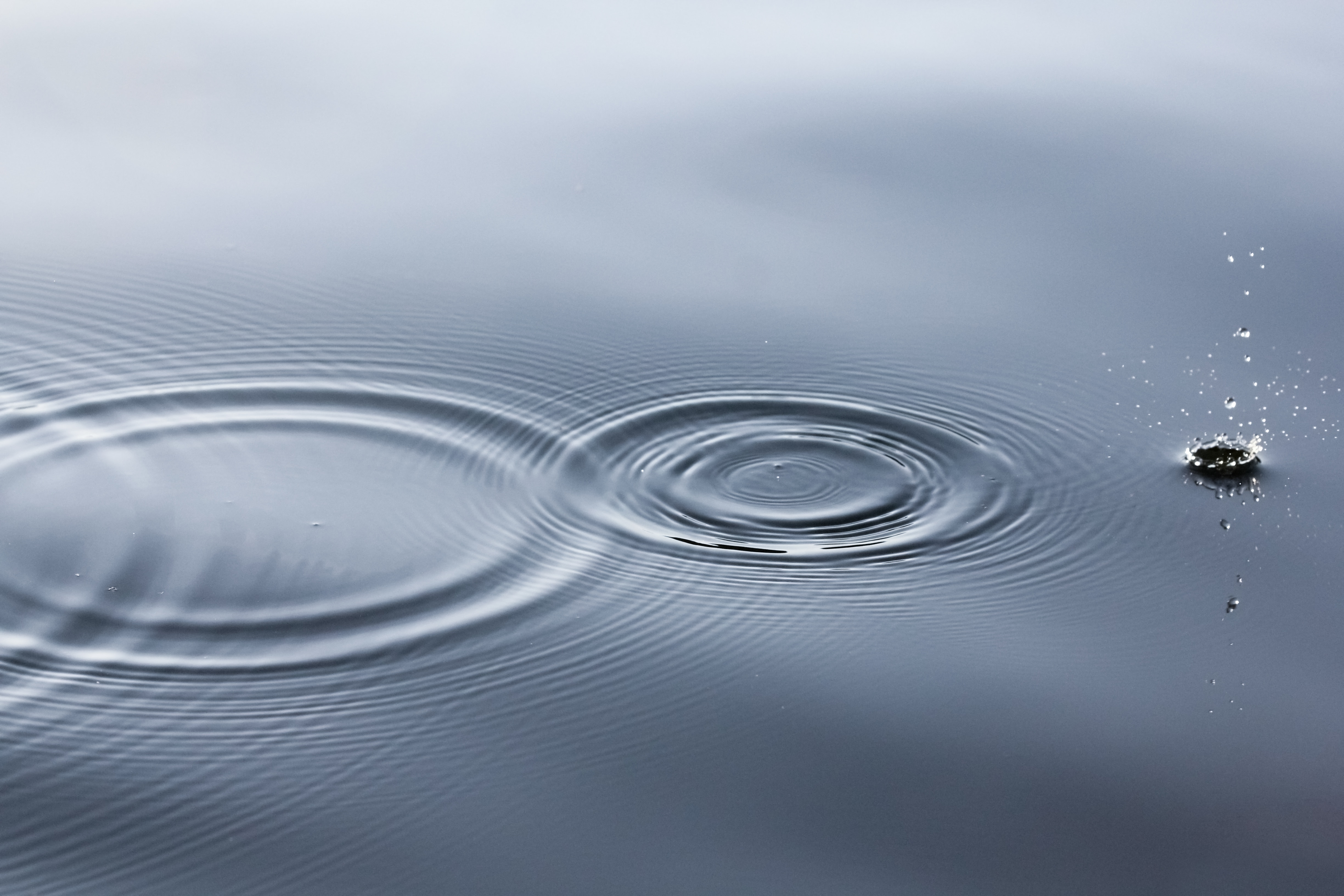 Foto de Linus Nylund en Unsplash.