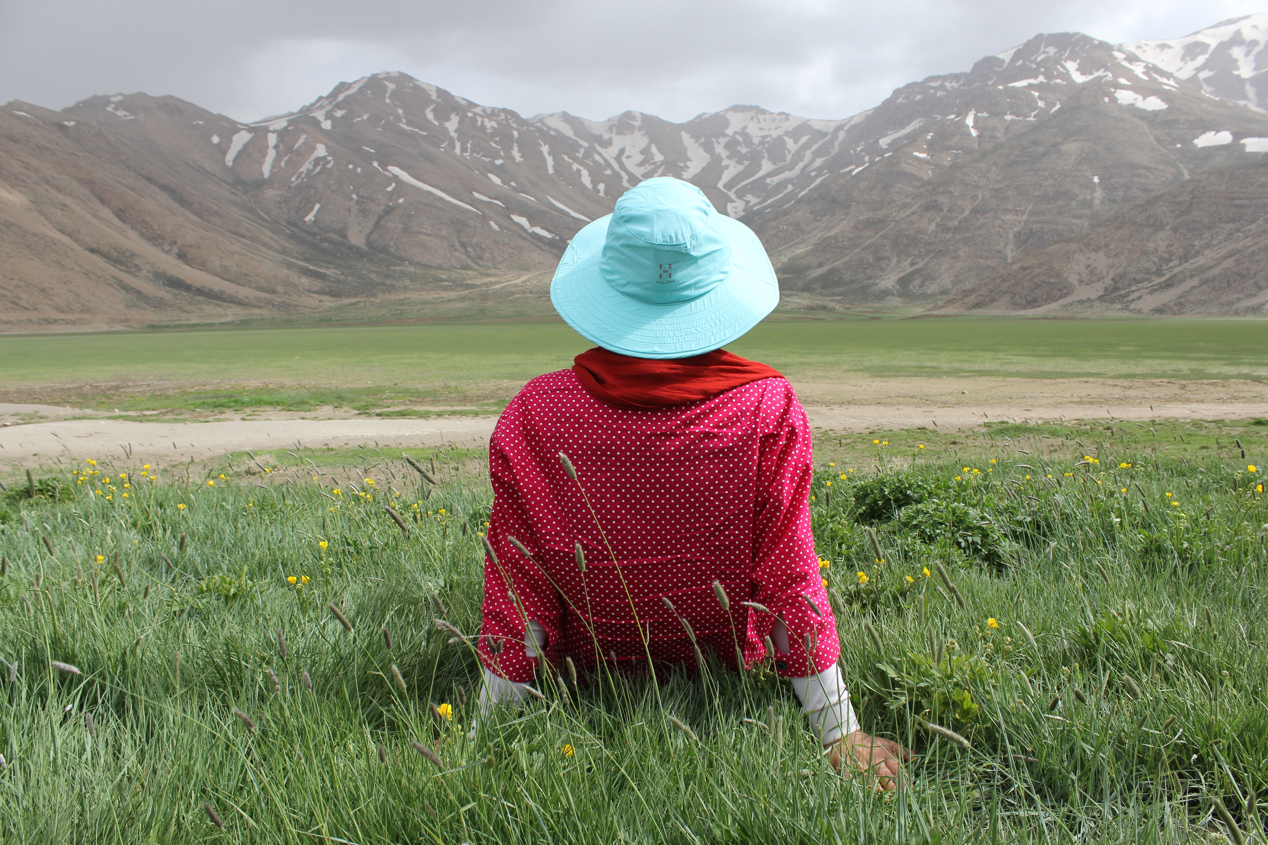 Photo by Mohammad Bagher Adib Behrooz on Unsplash