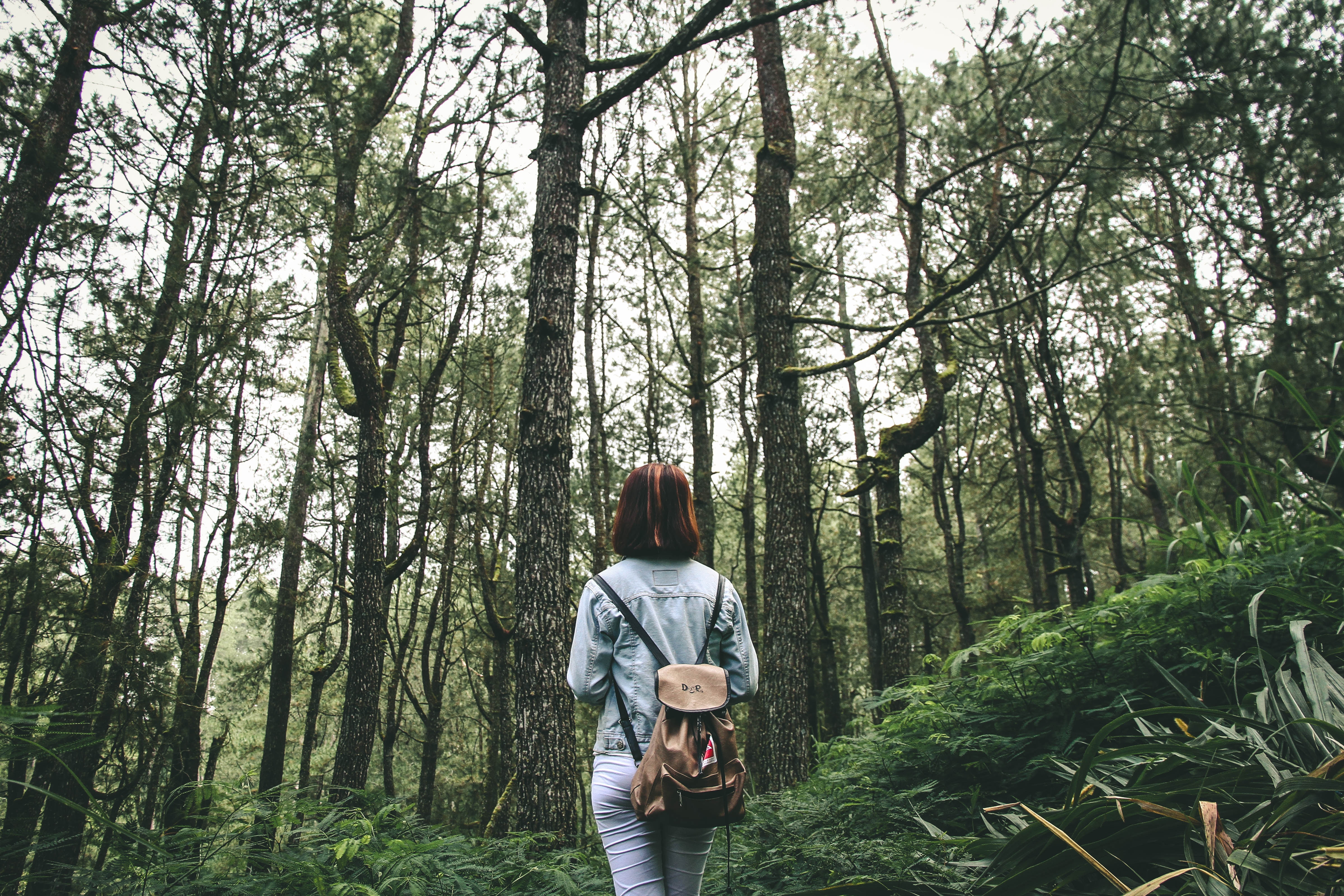 Photo by IB Wira Dyatmika on Unsplash