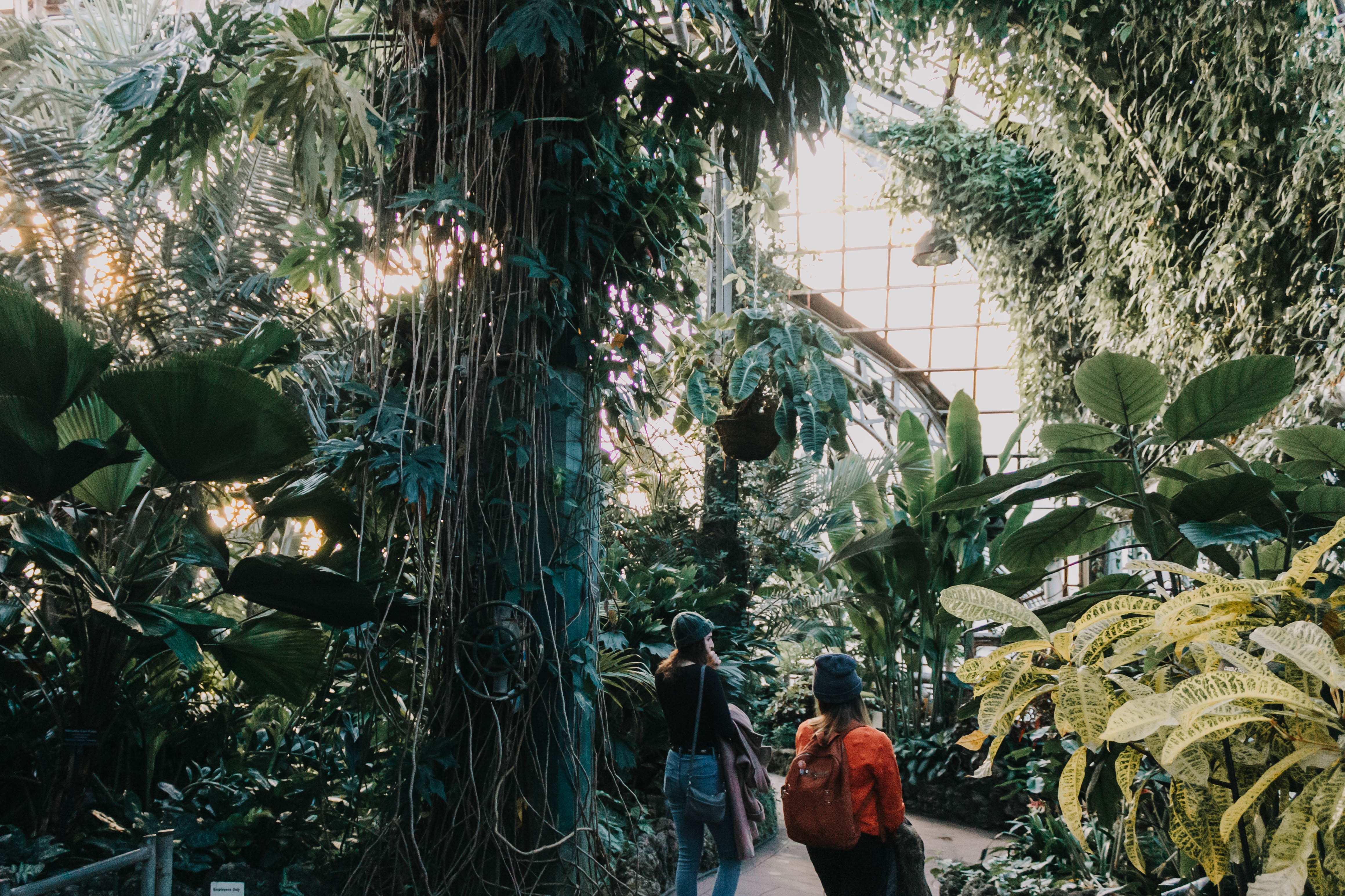 Photo by Kate Darmody on Unsplash