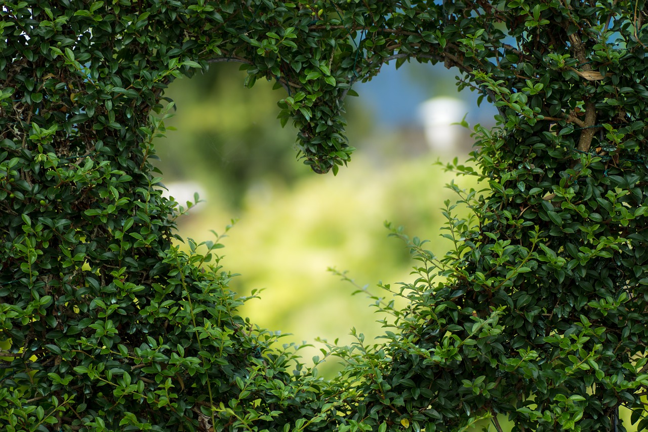 Imagen de Bianca Mentil en Pixabay