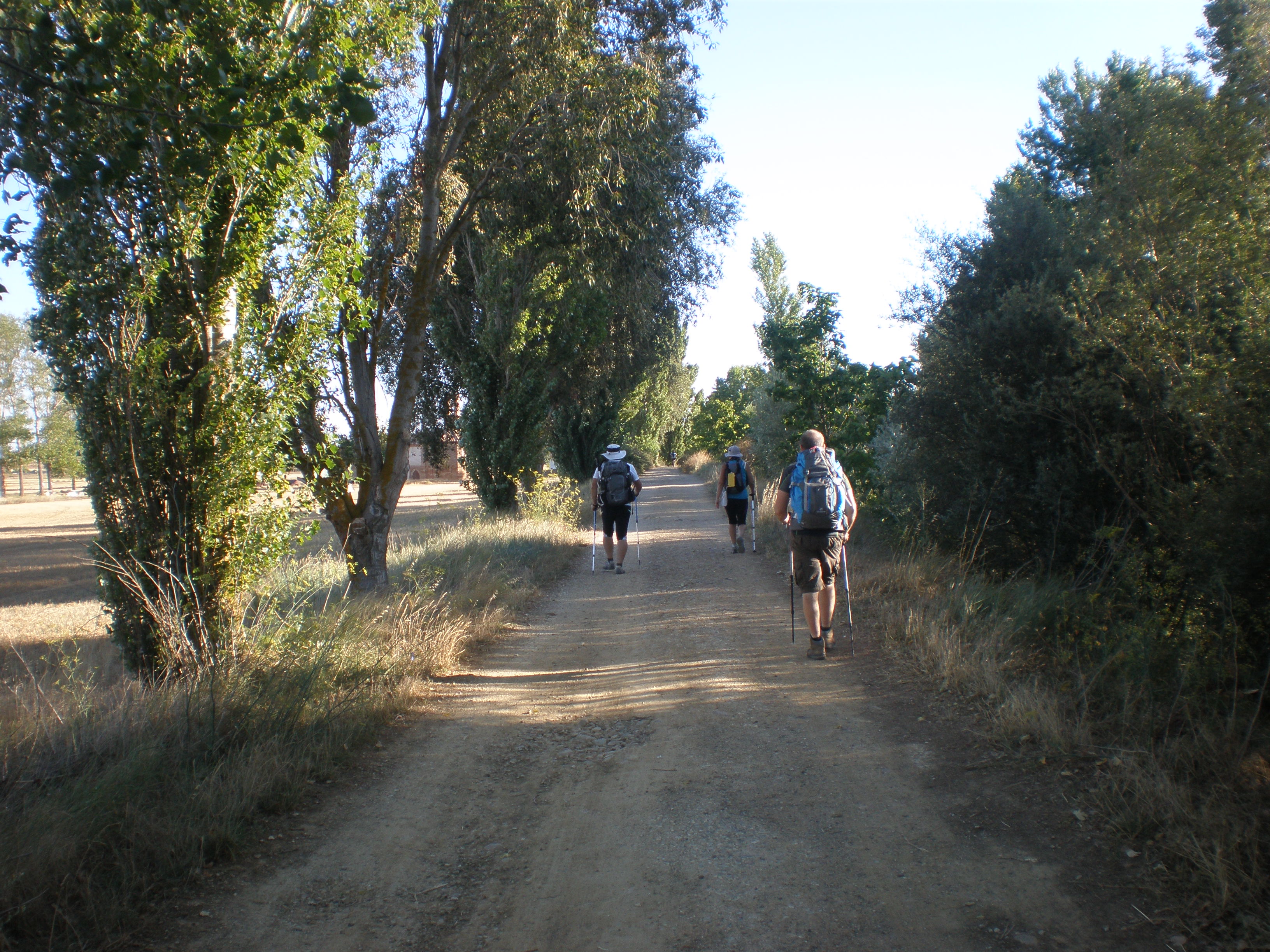 Cruce de caminos: El Camino de Santiago con "Corazón"