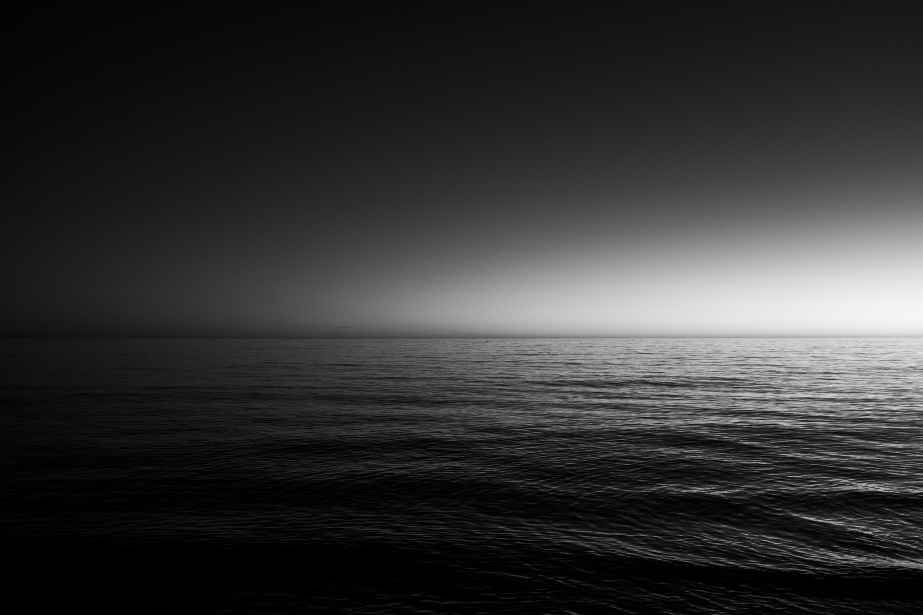 Photo by Ryan Parker on Unsplash