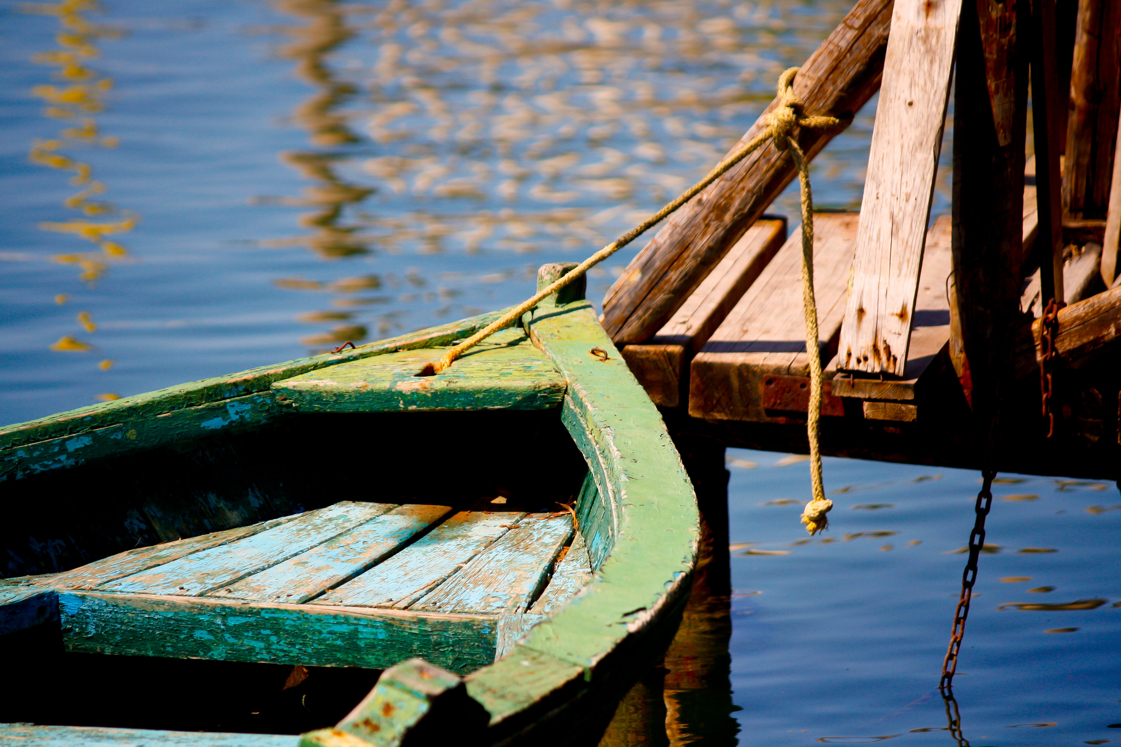 Photo by George Kourounis on Unsplash