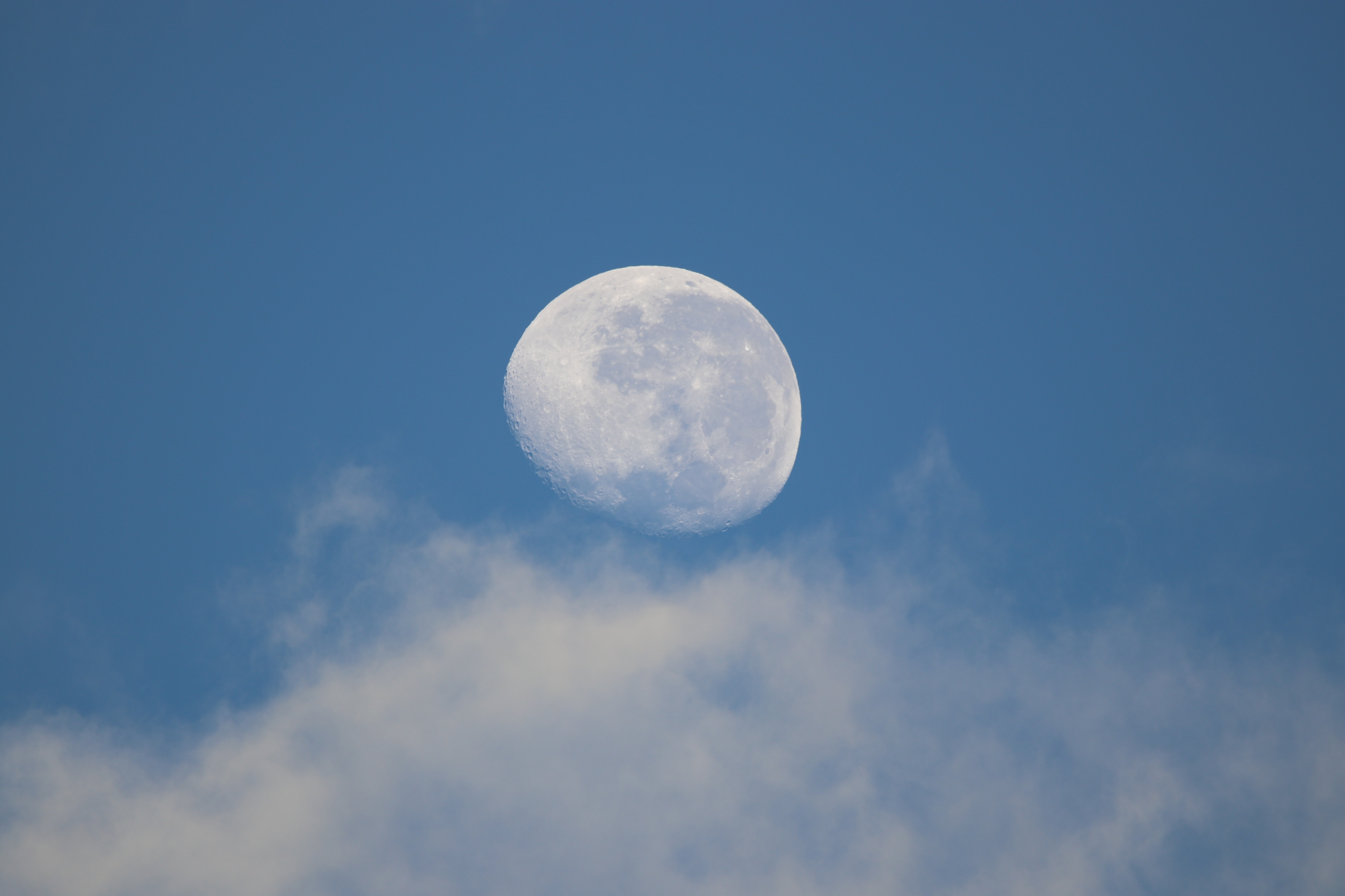 Photo by Marcus Dall Col on Unsplash