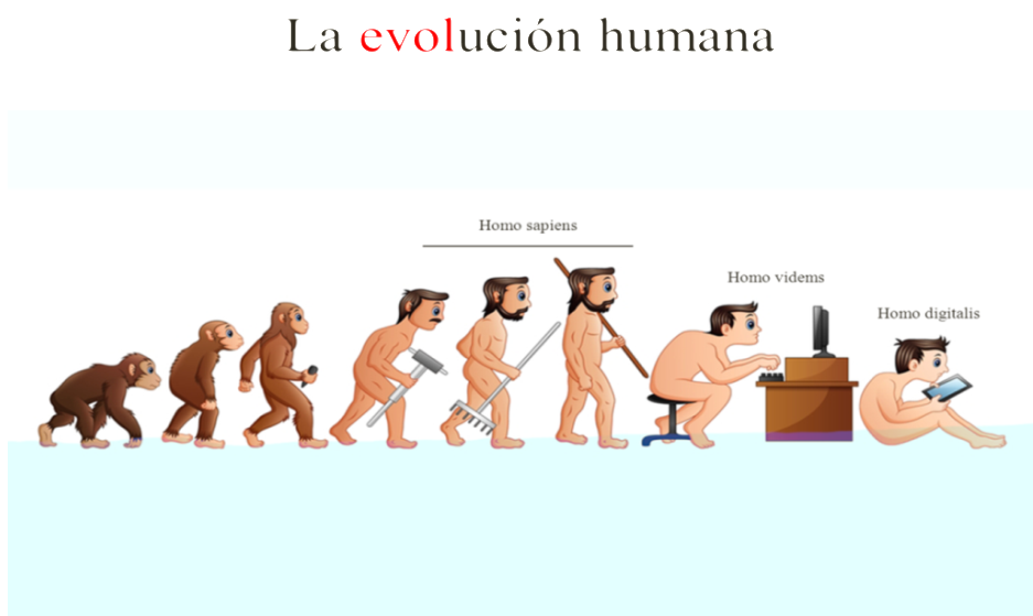 Imagen 3. La evolución humana