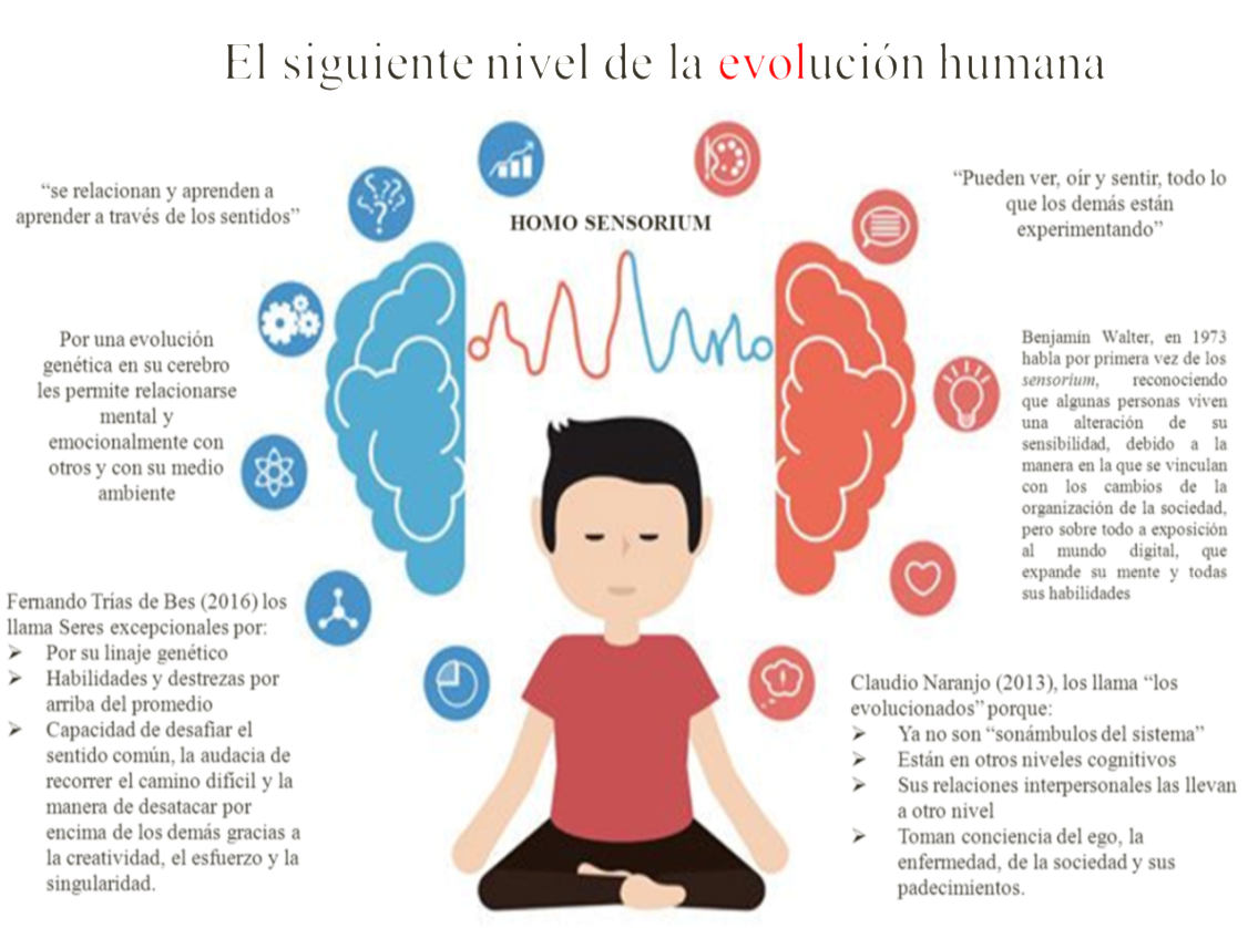 Imagen 4. Los sensoriales. El siguiente nivel de la evolución