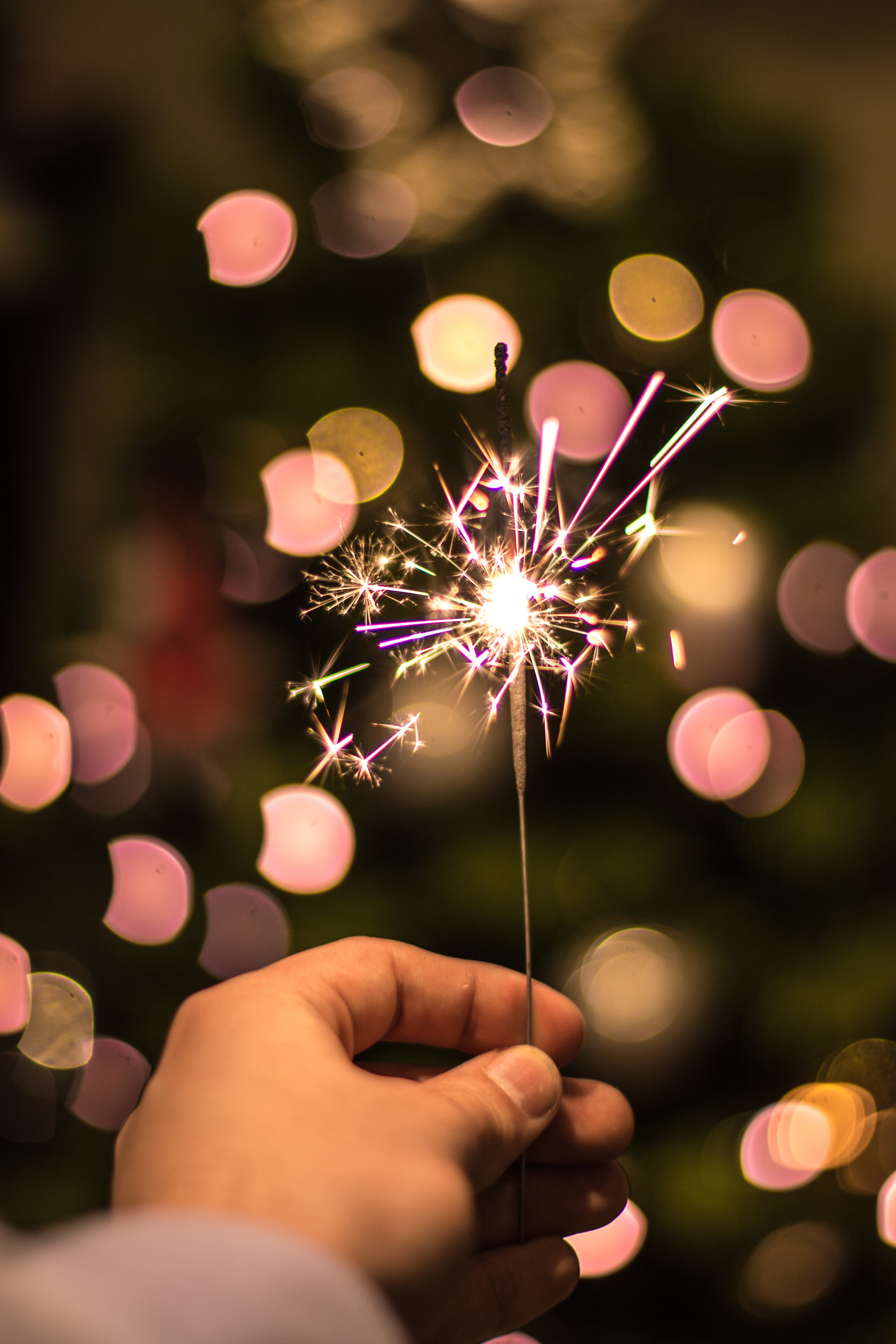 Photo by Wout Vanacker on Unsplash