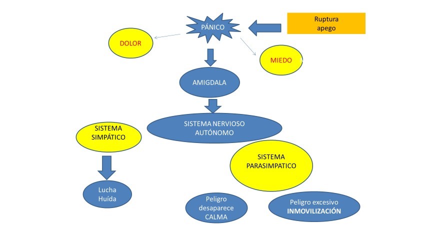 La respuesta orgánica a la nueva sociedad La respuesta orgánica a la nueva sociedad