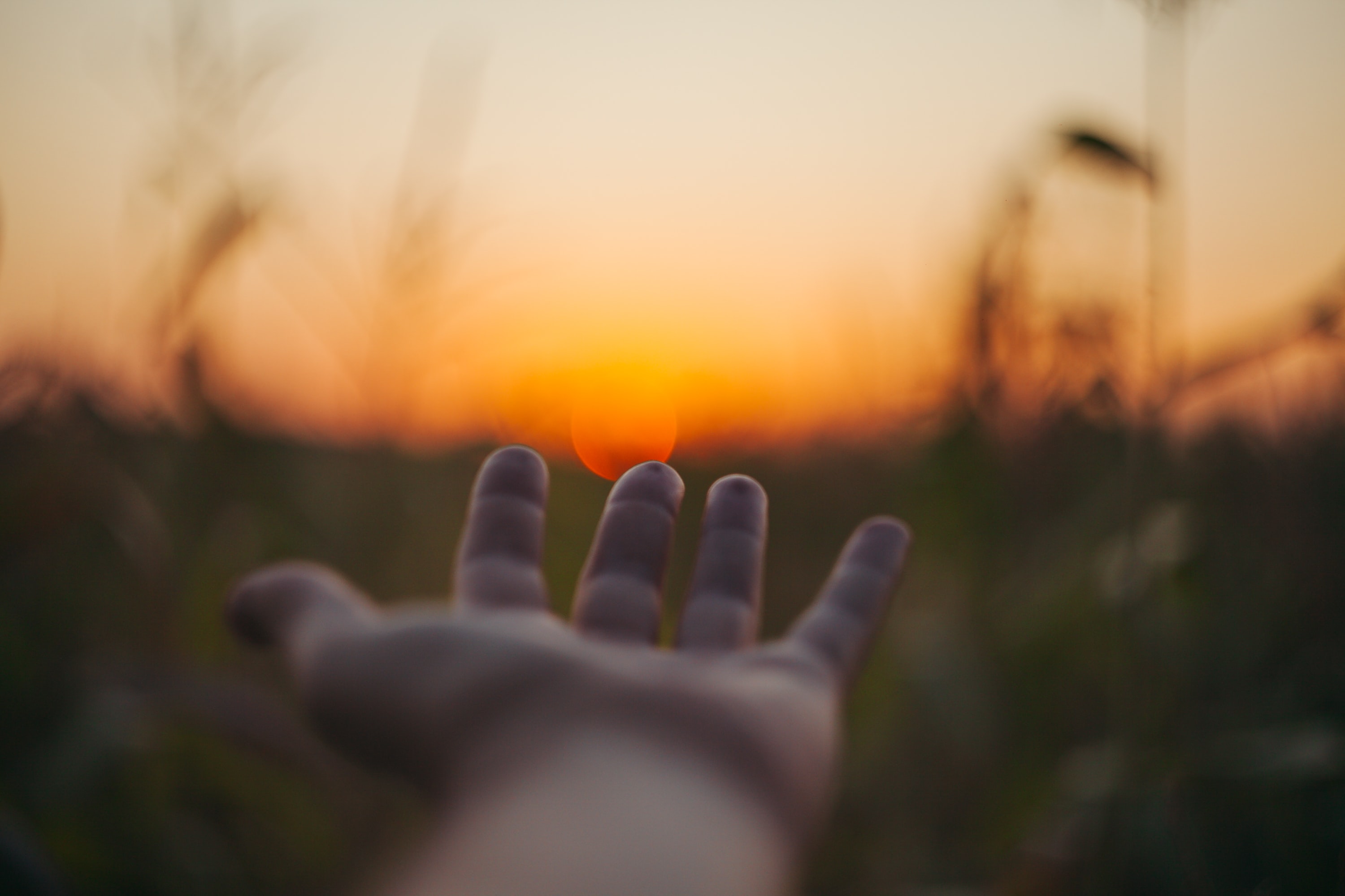 Photo by Alexei Scutari on Unsplash