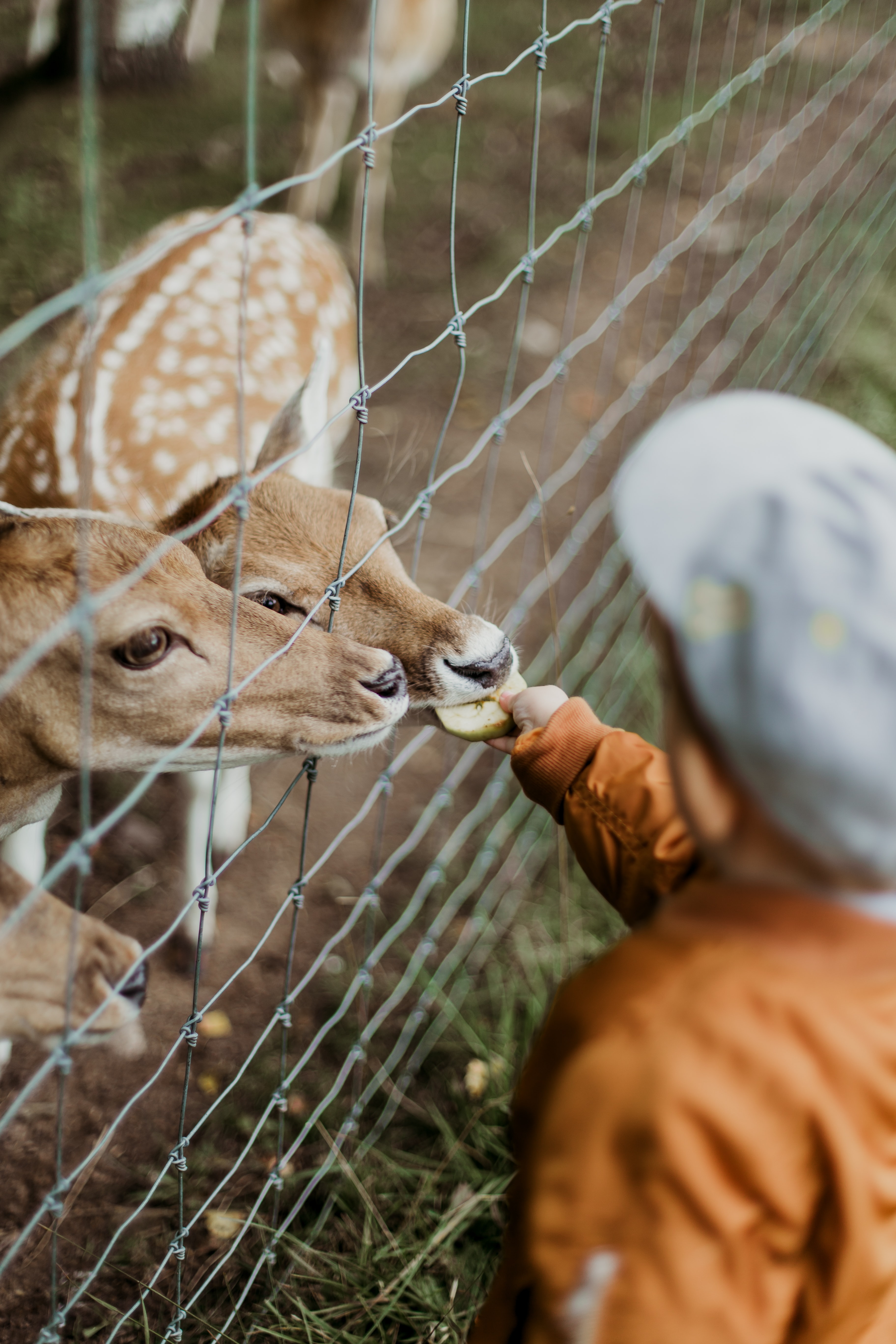 Photo by Daiga Ellaby on Unsplash