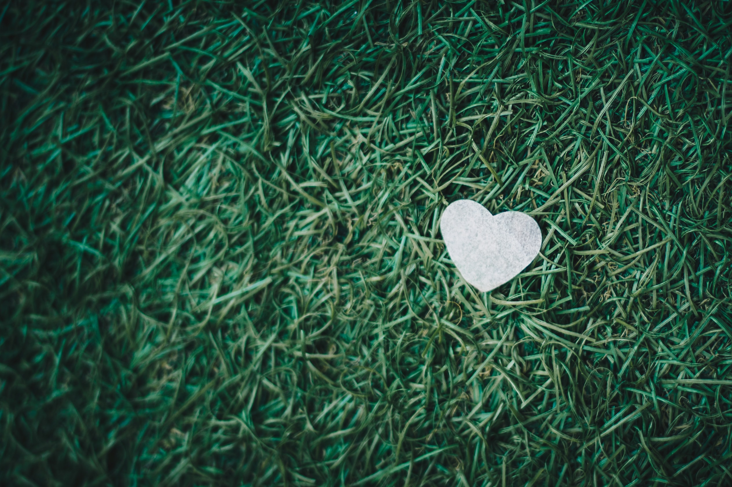 Photo by Isaac Benhesed on Unsplash