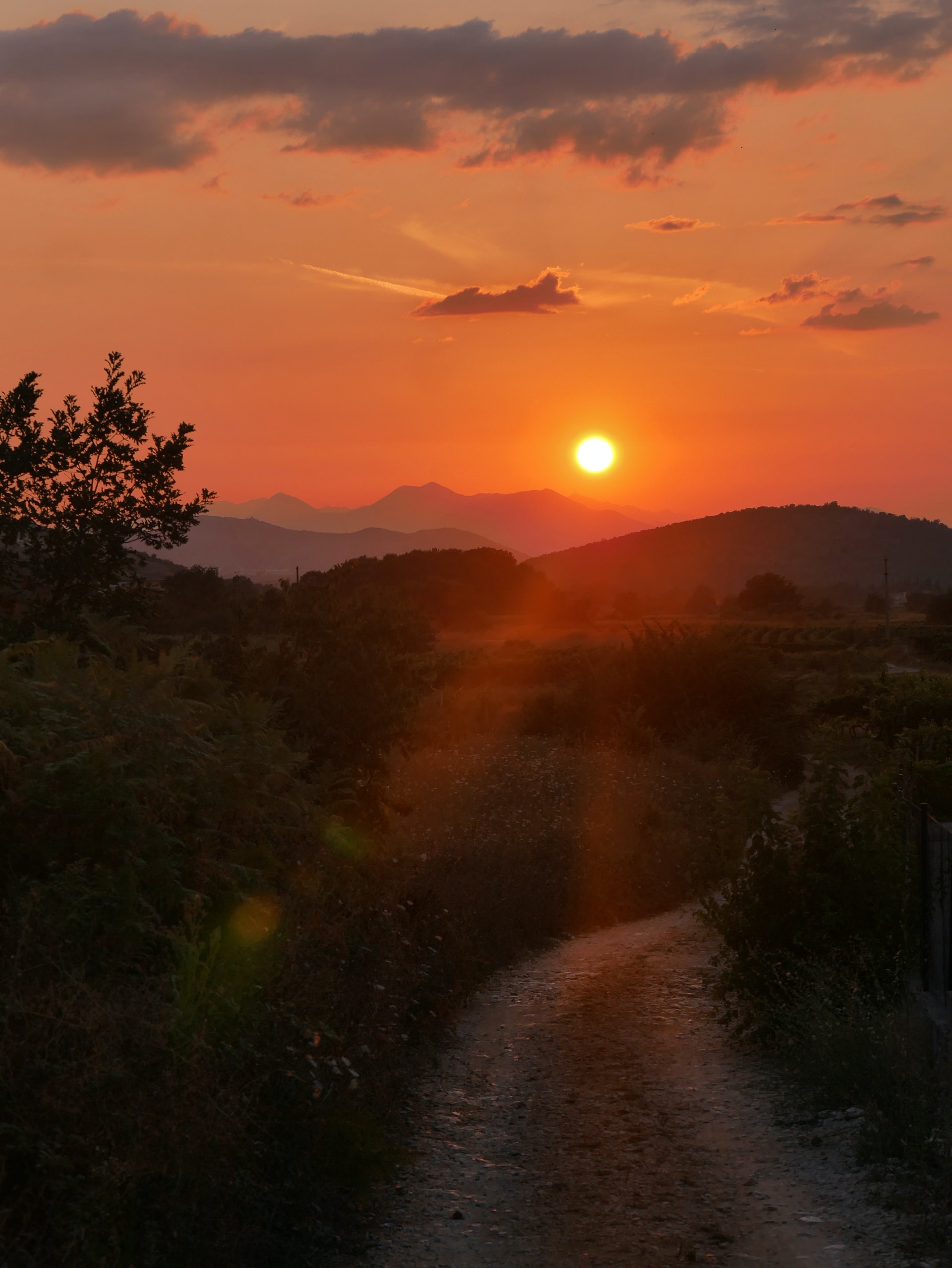 Photo by Jelle de Gier on Unsplash