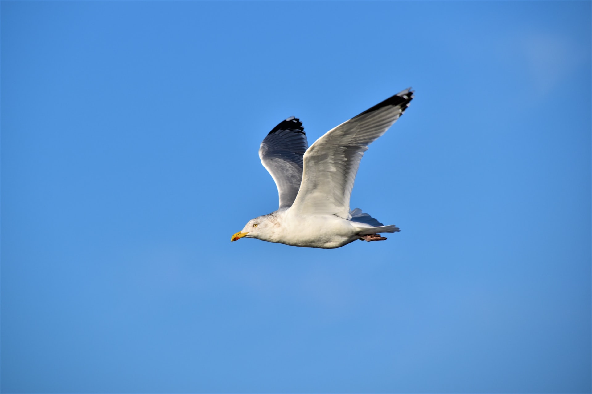 Photo by Waldemar Brandt on Unsplash