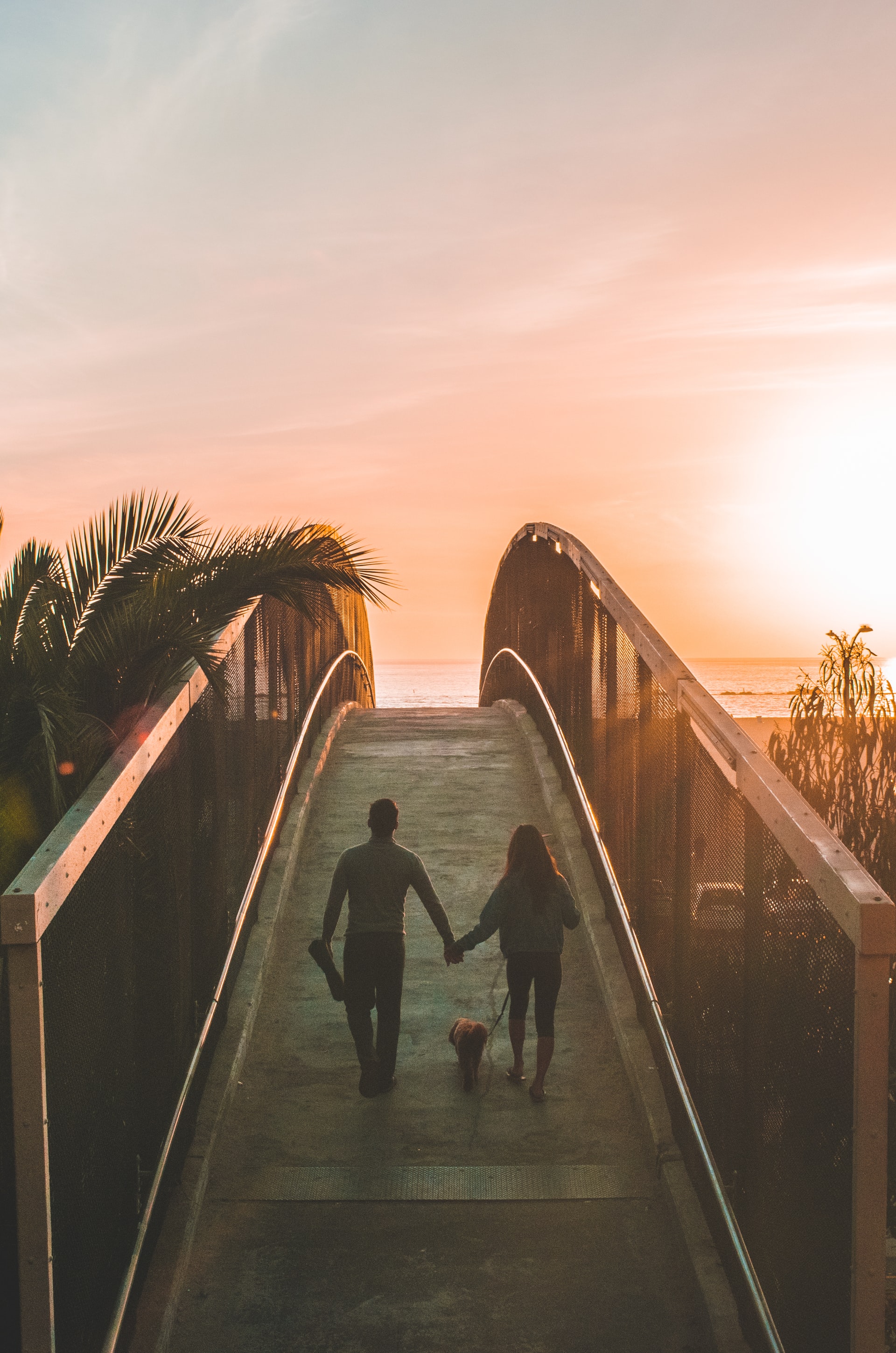 Photo by Shea Rouda on Unsplash