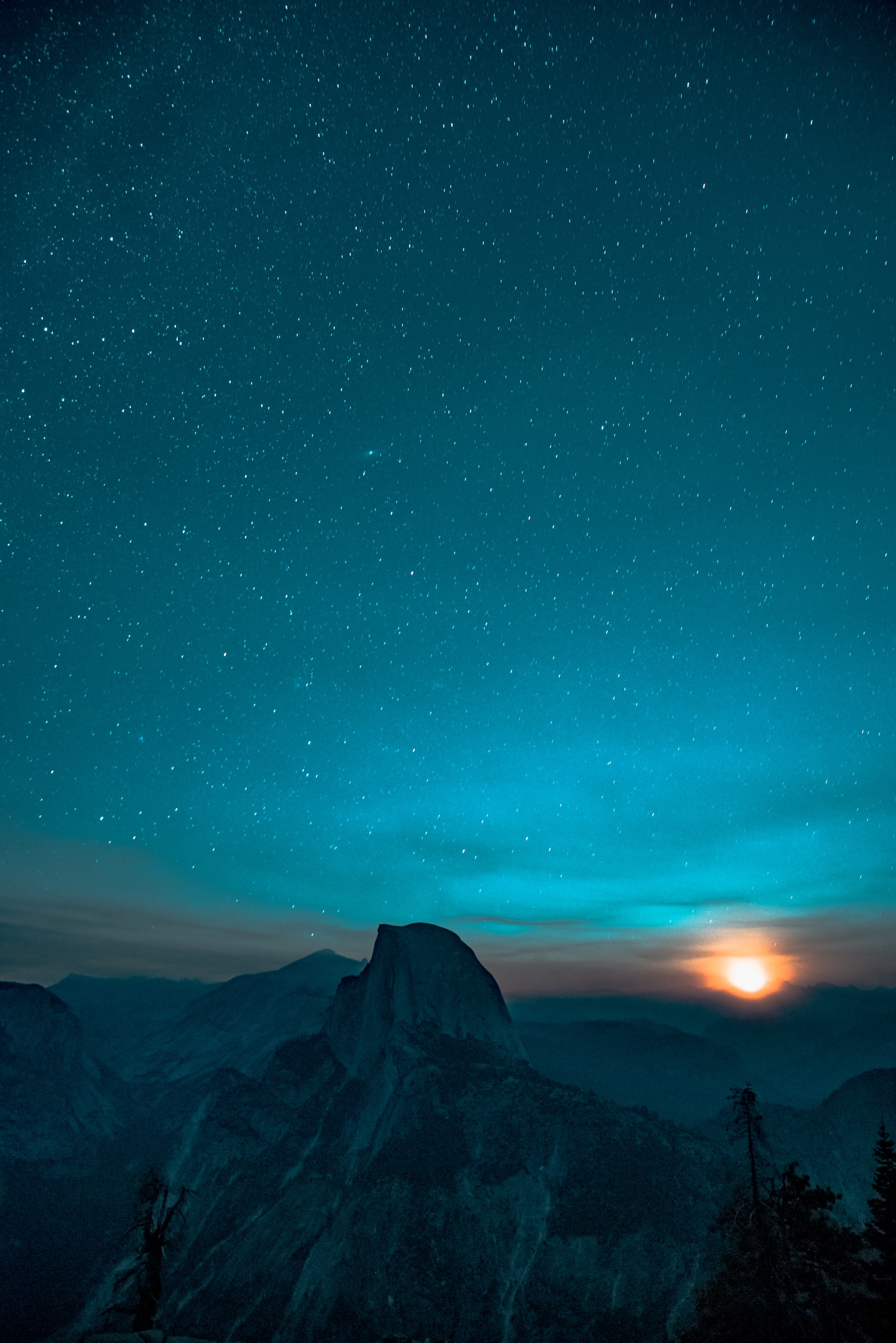 Photo by Casey Horner on Unsplash