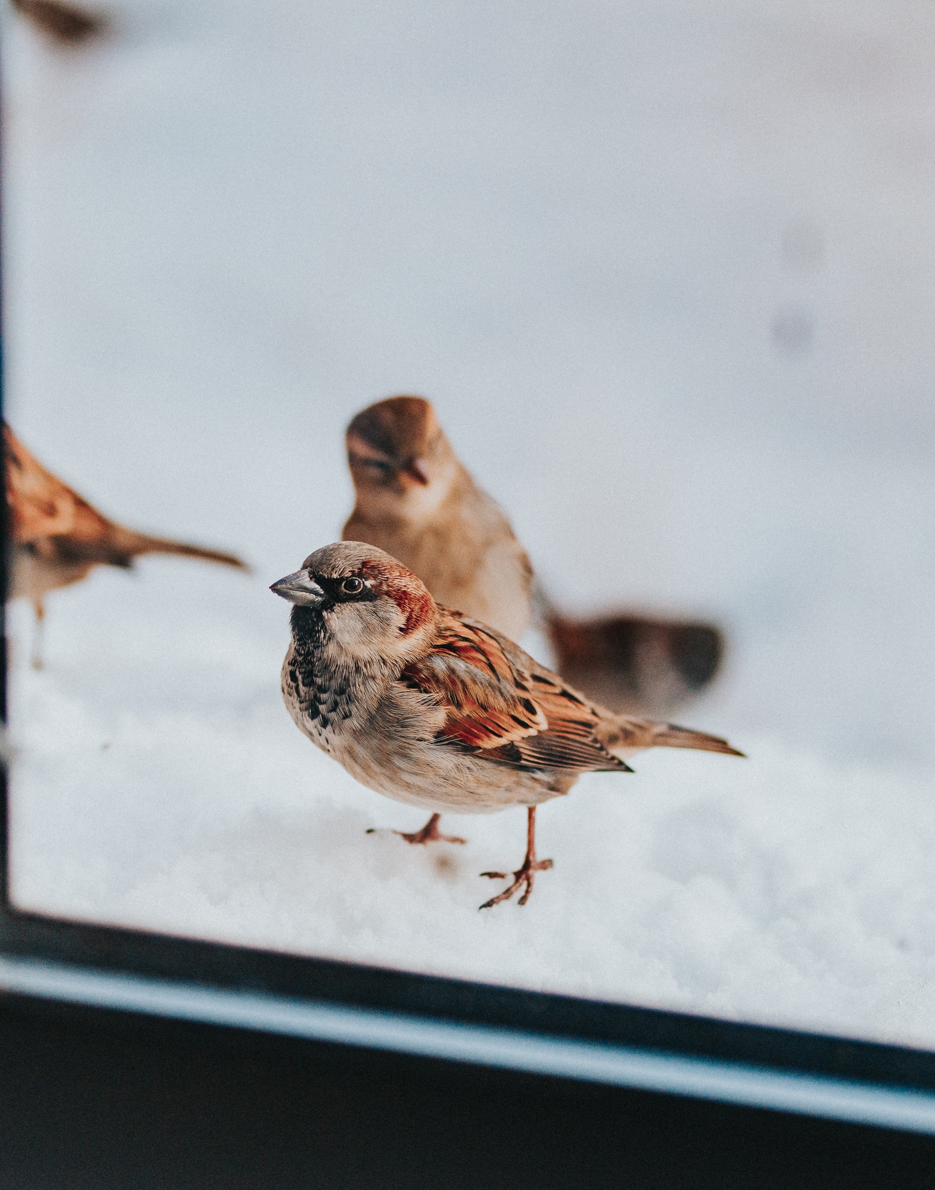 Photo by Marcos Paulo Prado on Unsplash