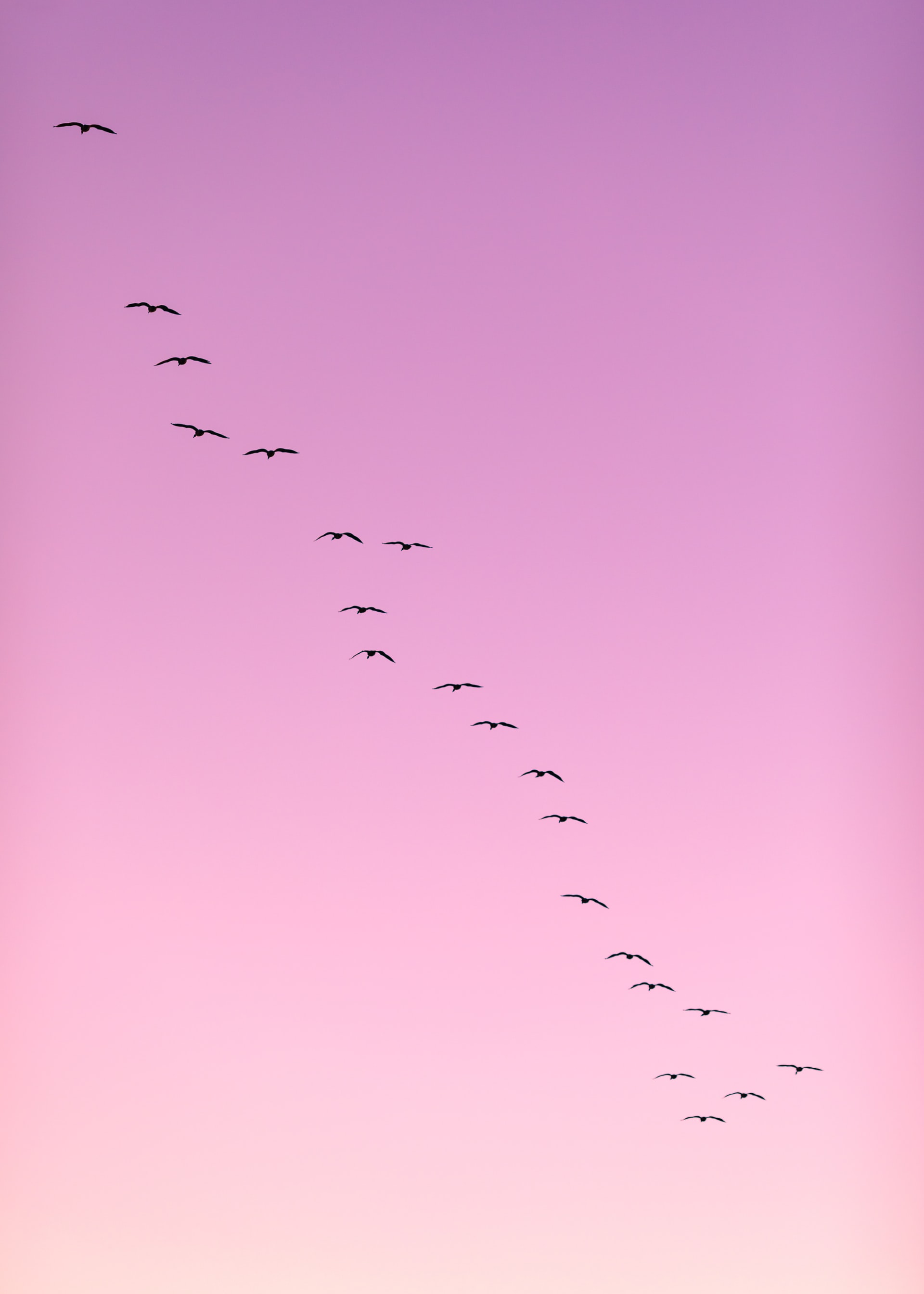 Photo by Dave Hoefler on Unsplash