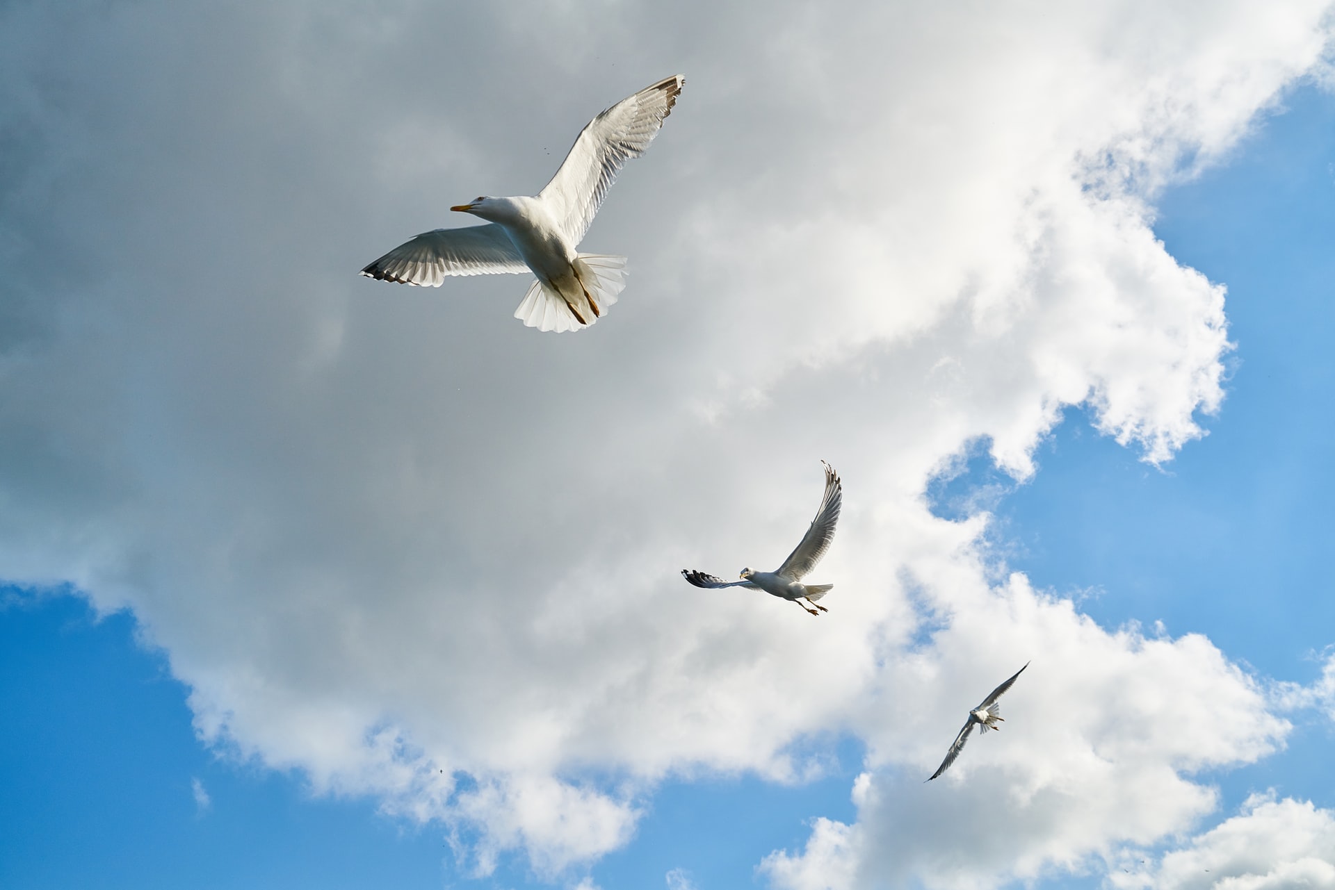 Photo by engin akyurt on Unsplash
