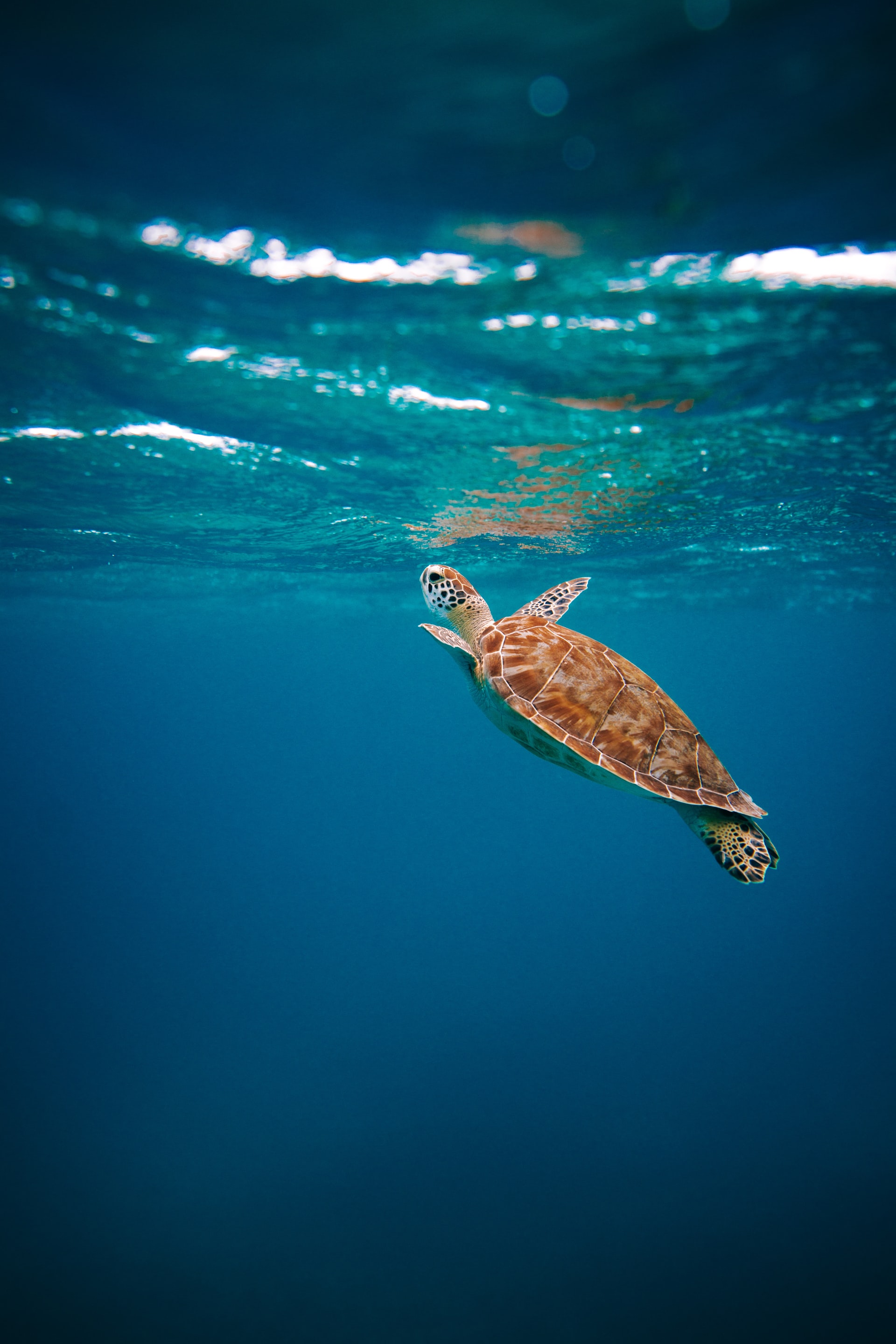 Photo by David Troeger on Unsplash