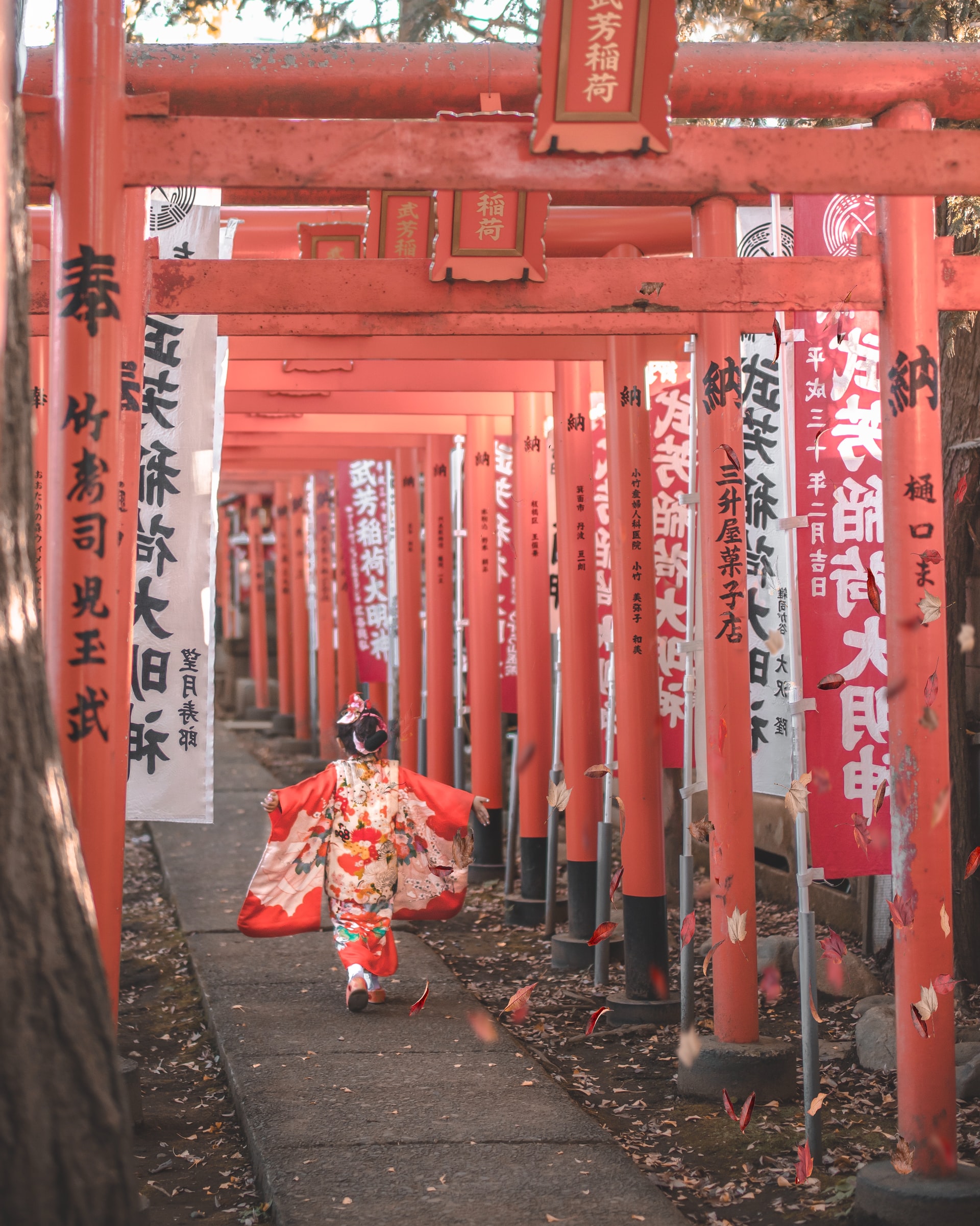 Photo by Eea Ikeda on Unsplash