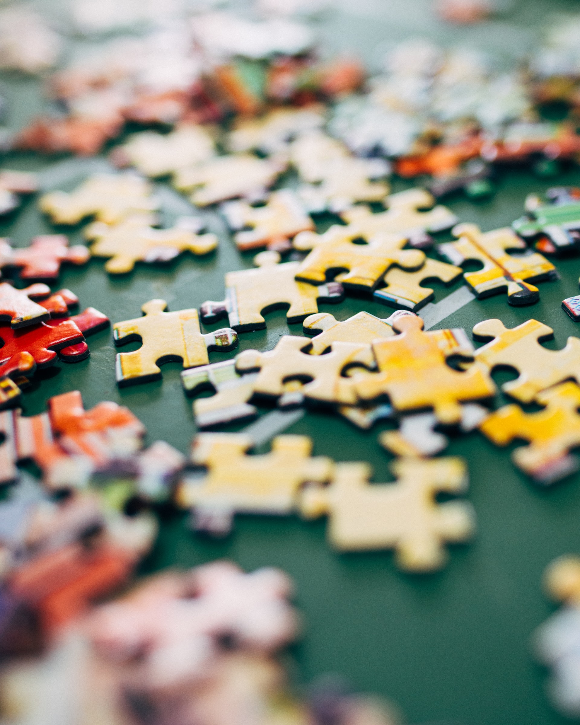 Photo by Nathalia Segato on Unsplash