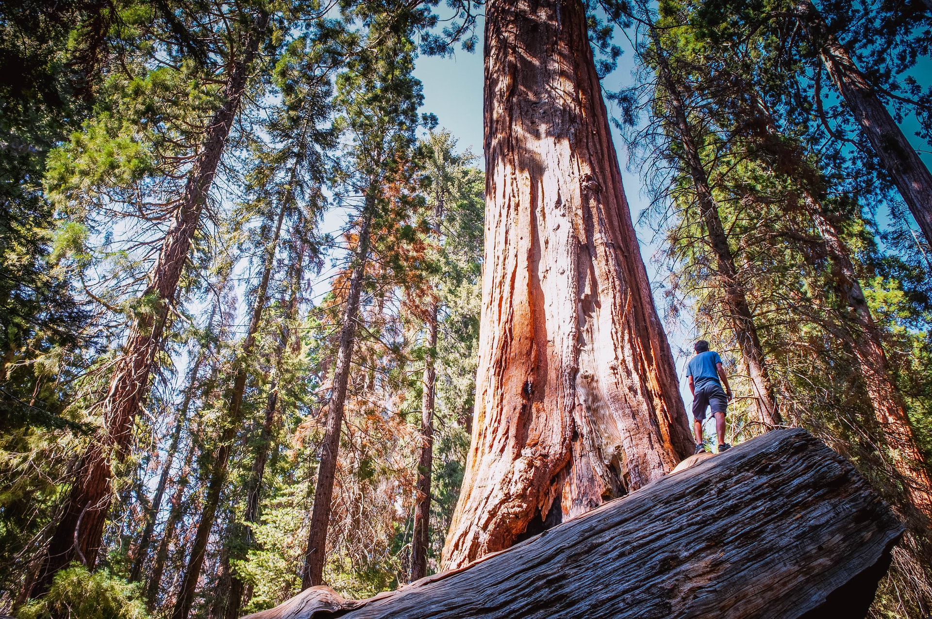 Photo by Andrew Jenkins on Unsplash