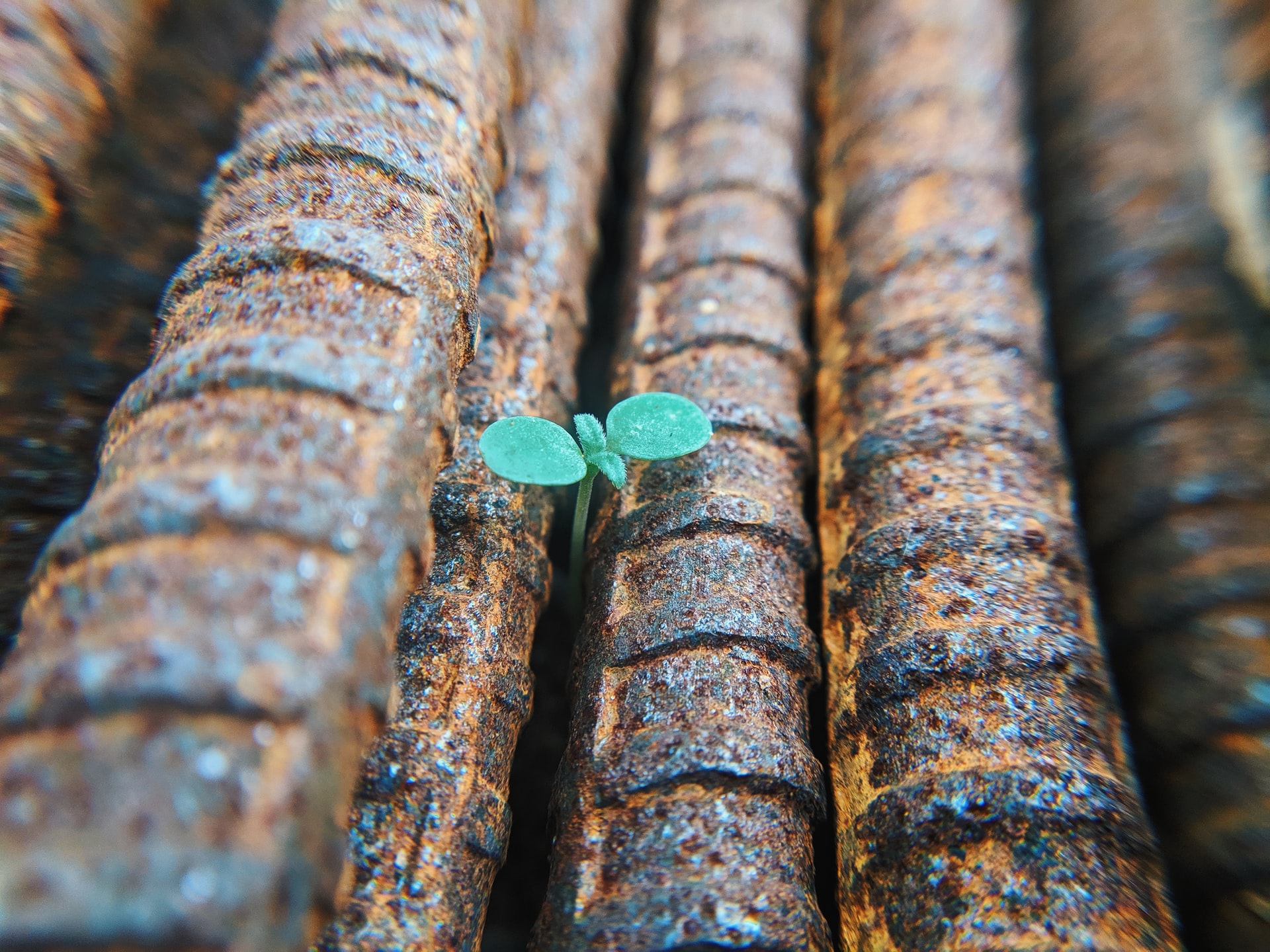 Photo by Faris Mohammed on Unsplash