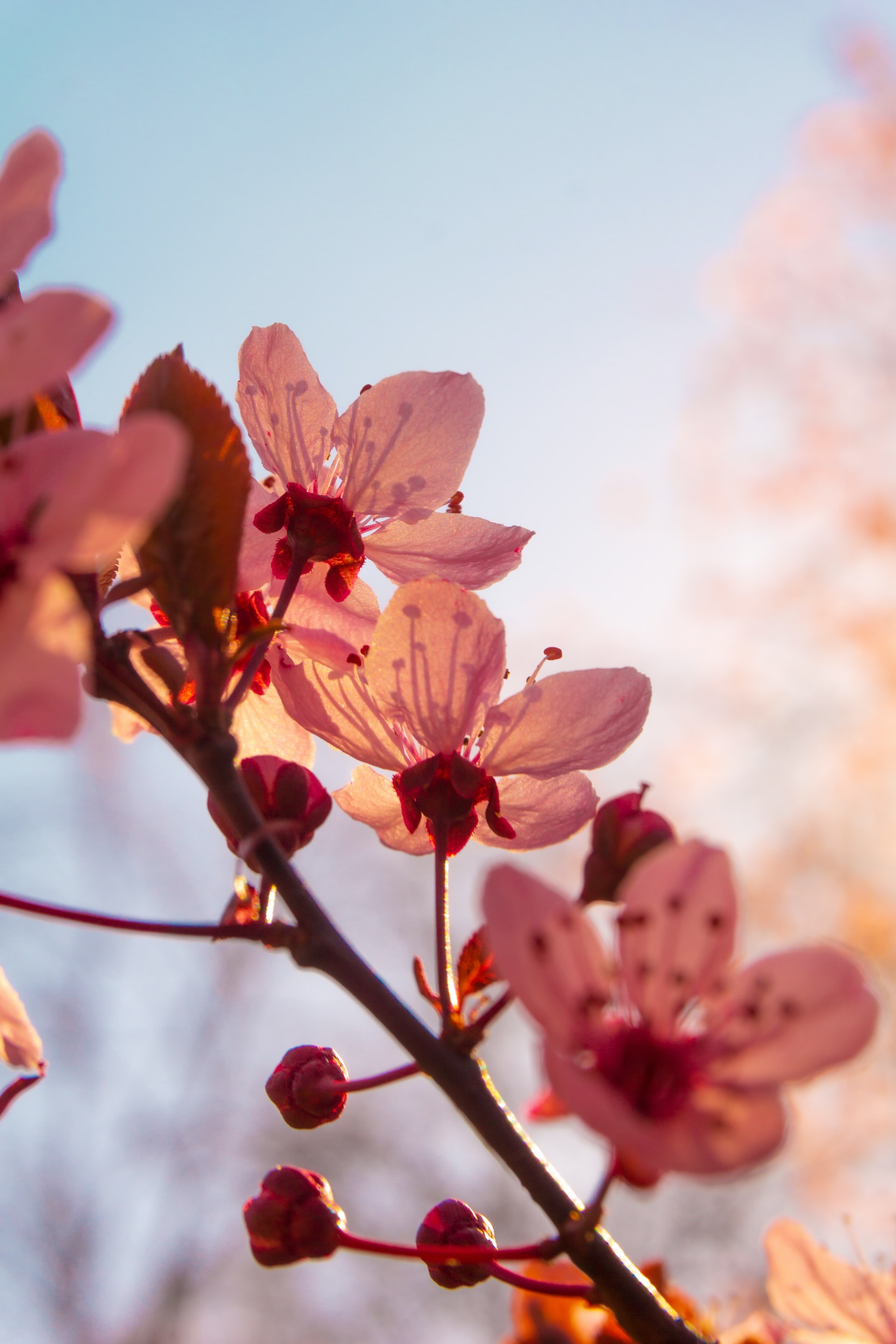 Photo by Hans Loebermann on Unsplash