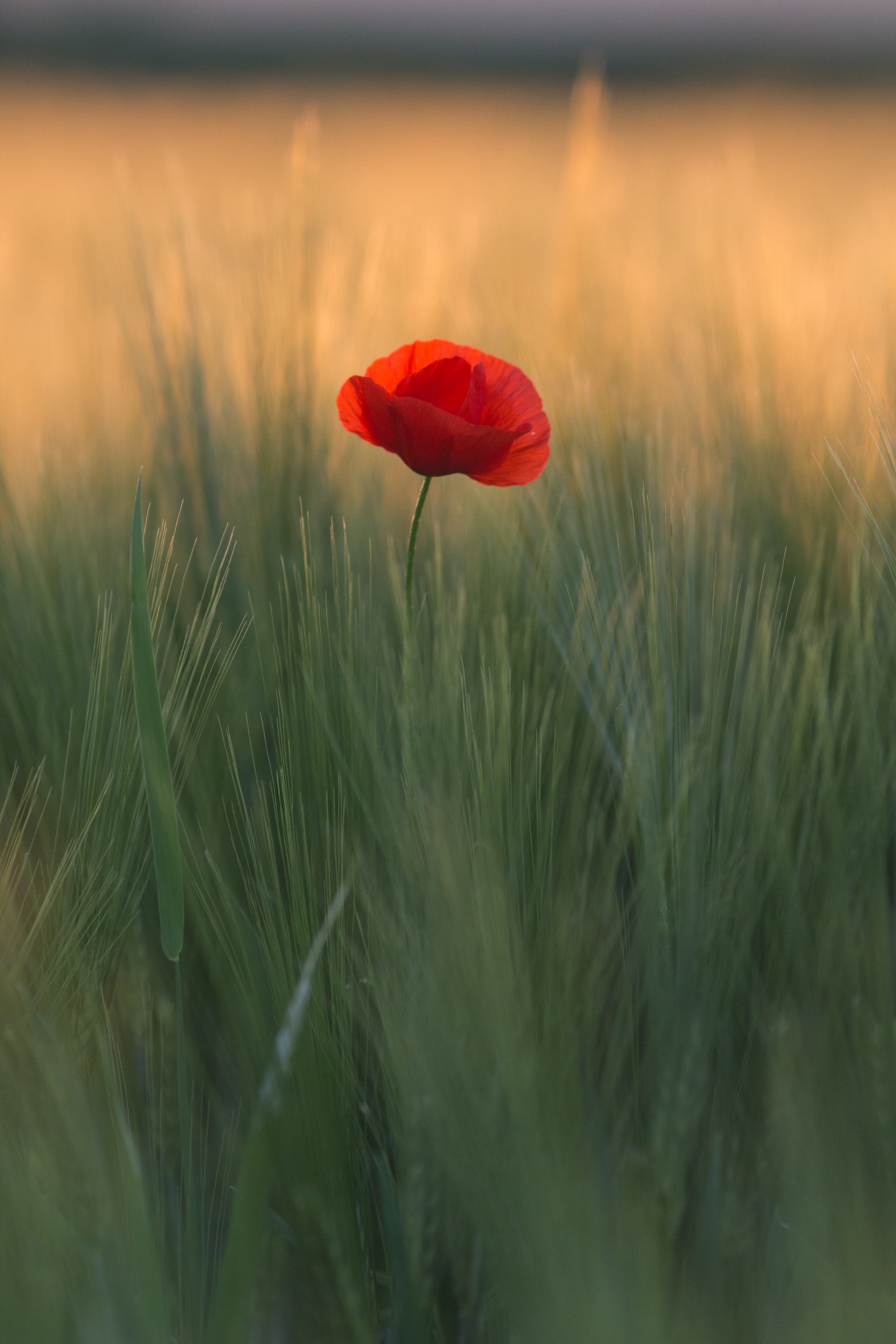 Photo by Quaritsch Photography on Unsplash