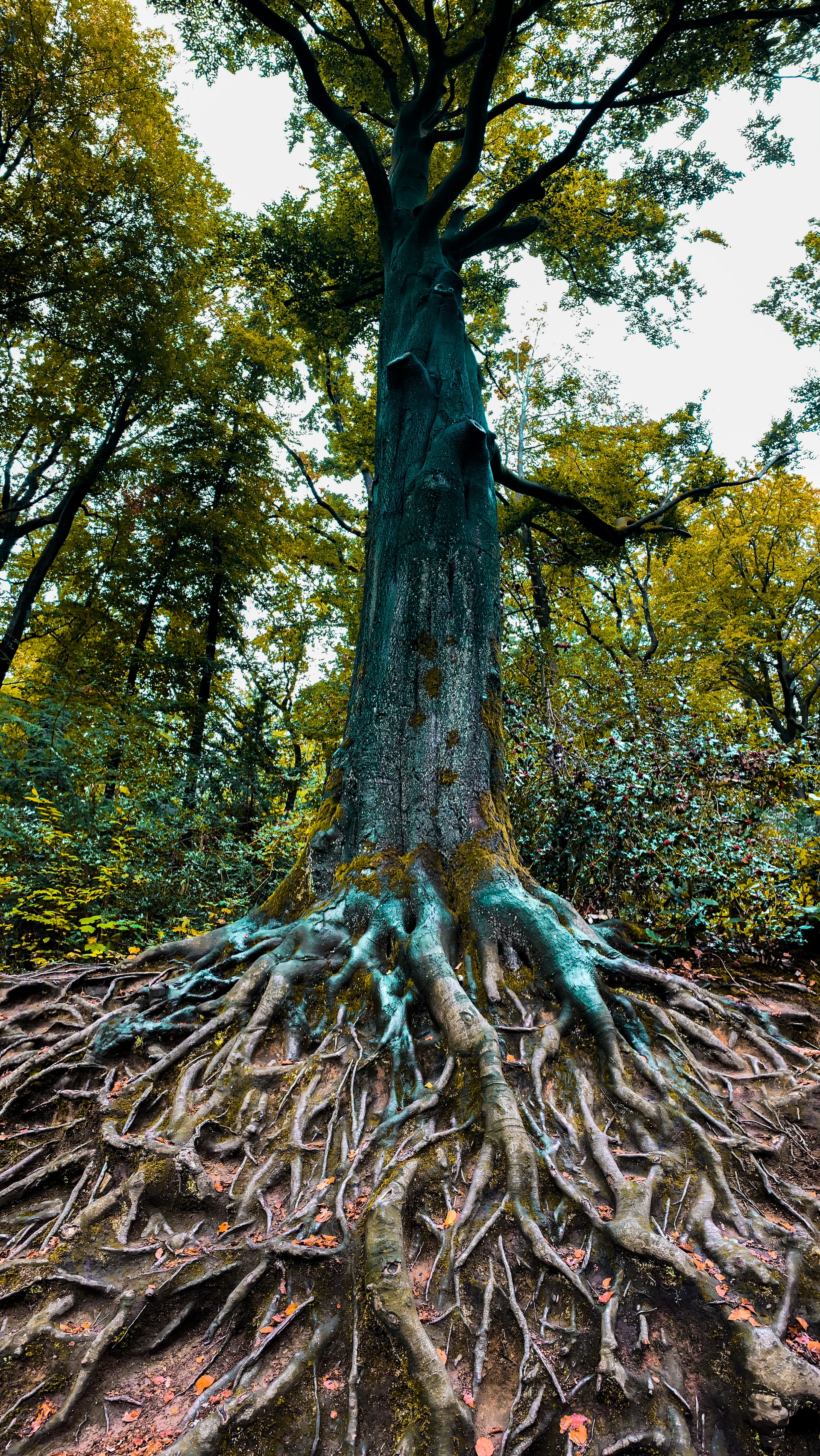 Foto de Omar Ram en Unsplash