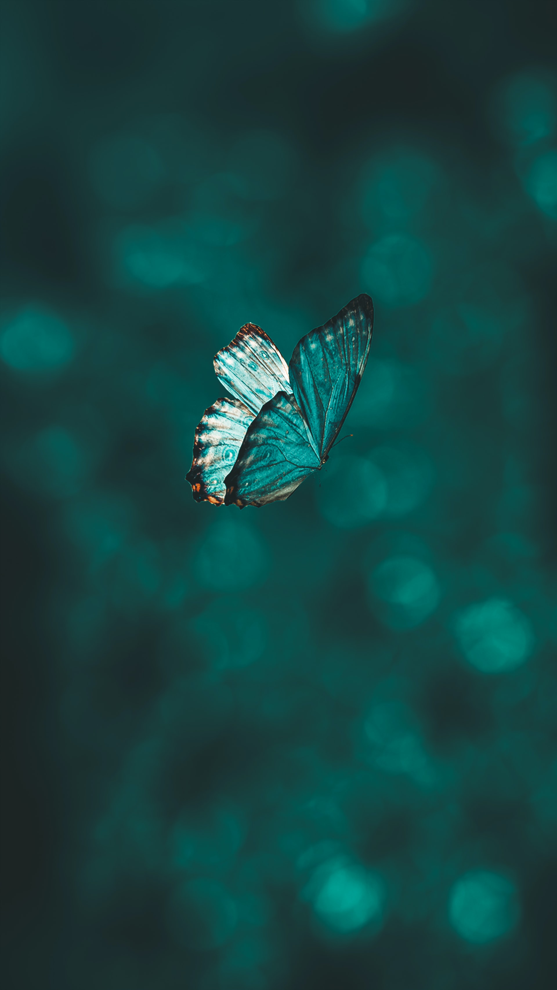 Foto de AARN GIRI en Unsplash