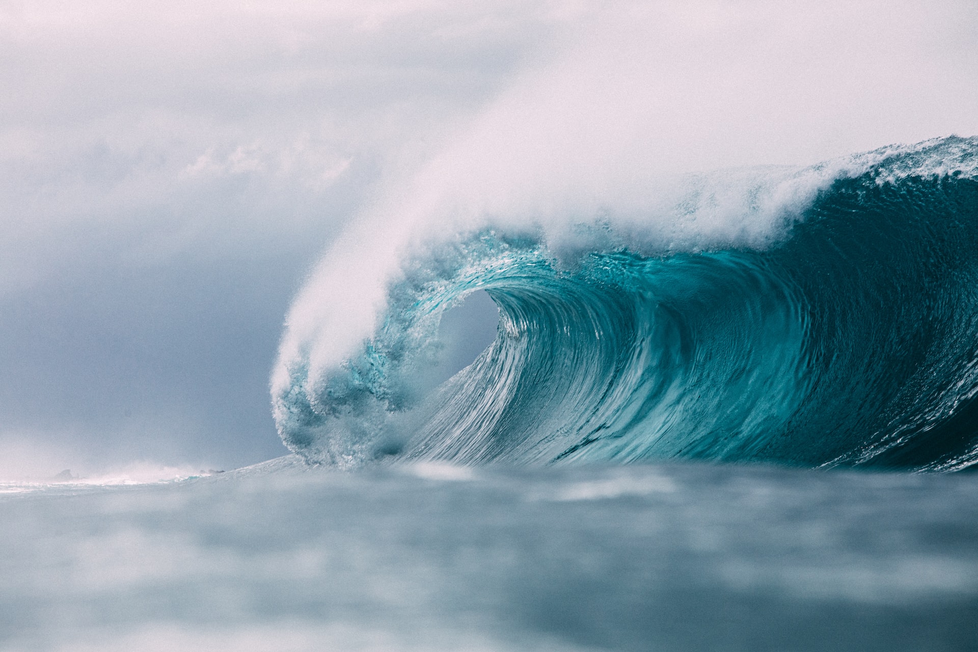 Foto de Matt Paul Catalano en Unsplash