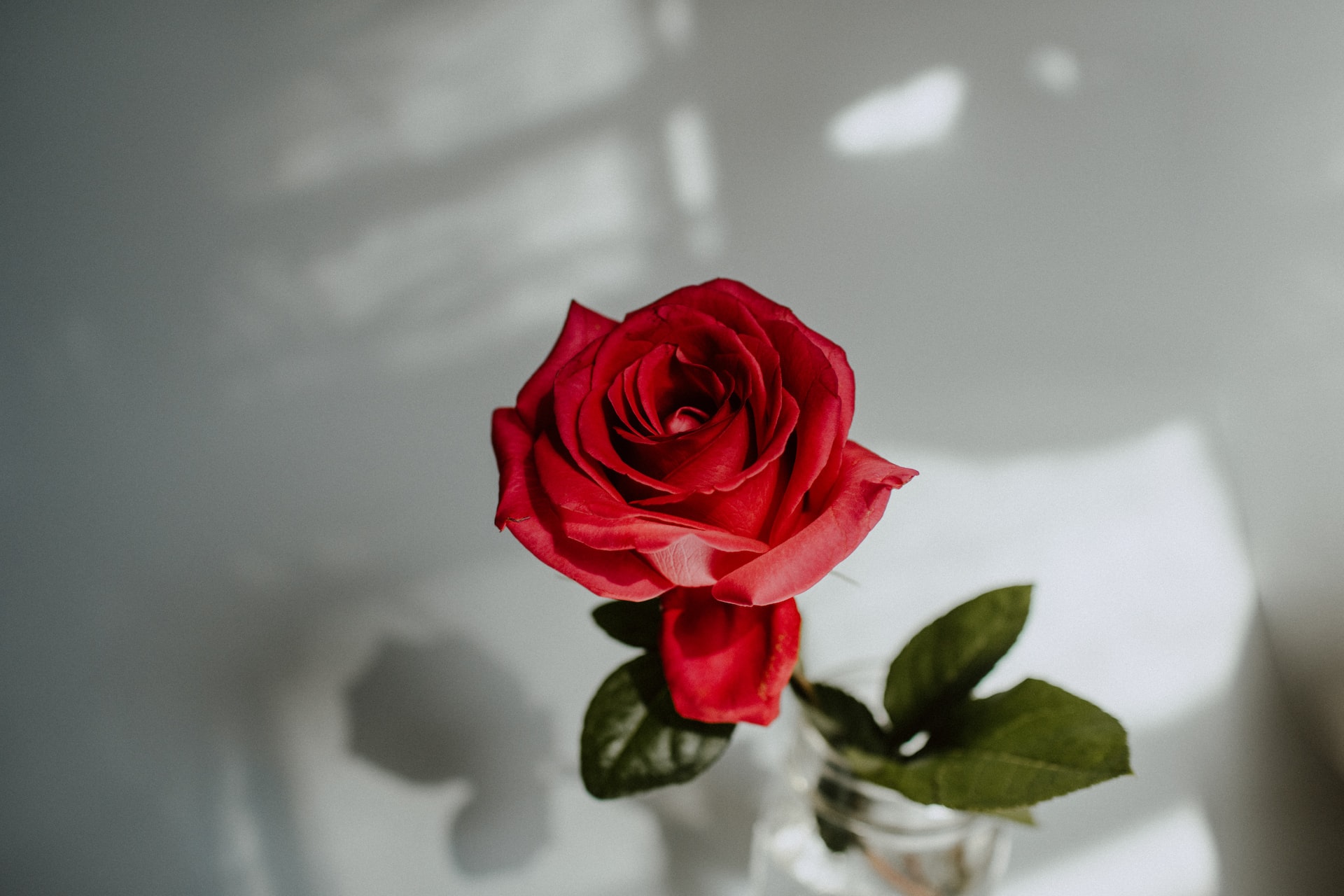 Foto de Kelly Sikkema en Unsplash