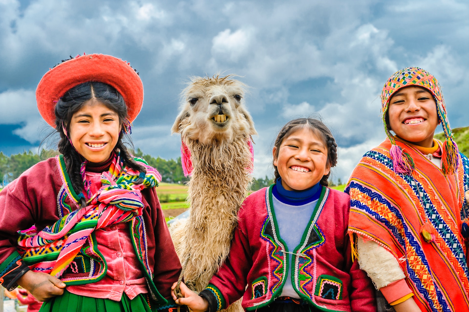 Foto de Alexander Schimmeck en Unsplash Foto de Alexander Schimmeck en Unsplash