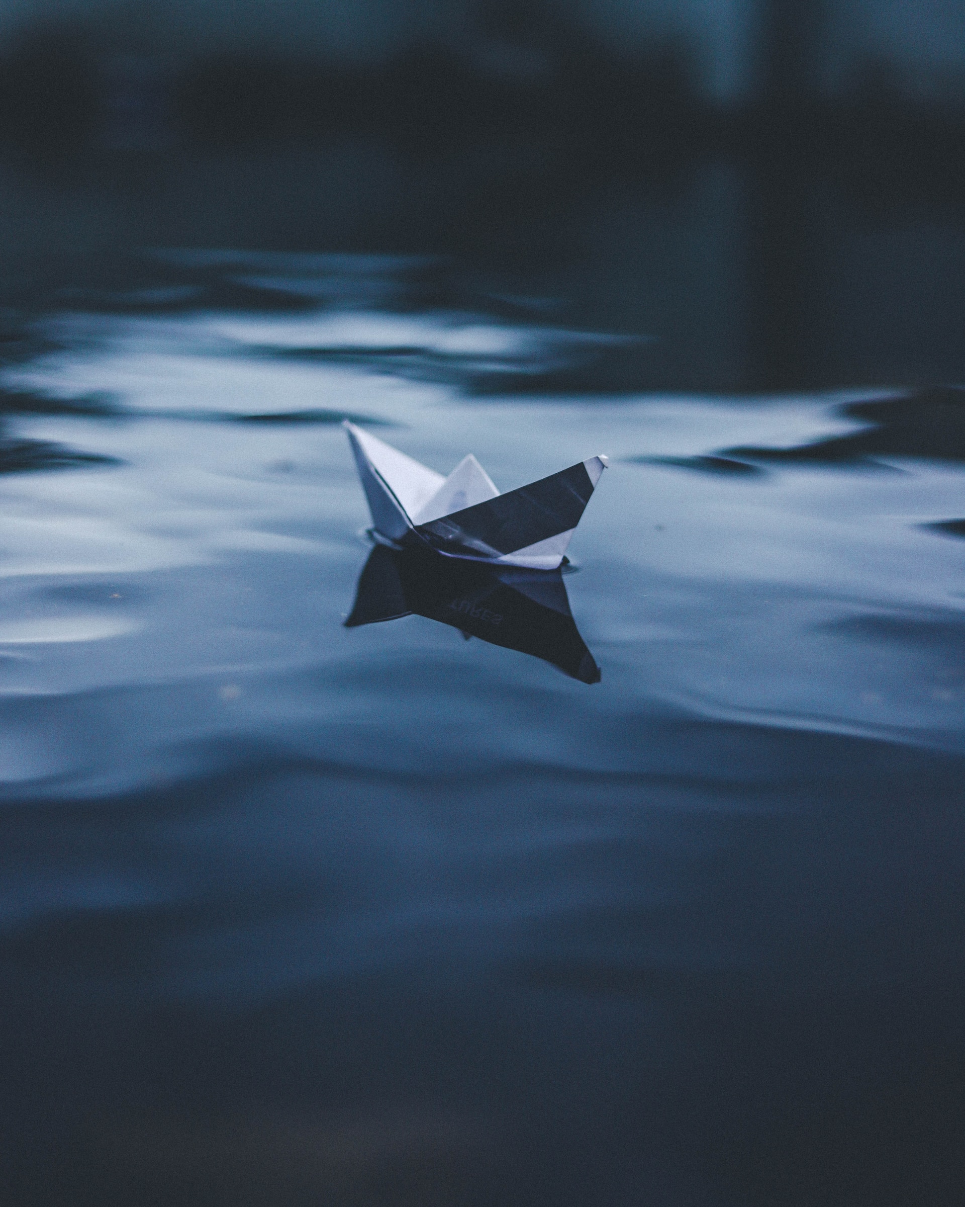 Foto de Ahmed Zayan en Unsplash