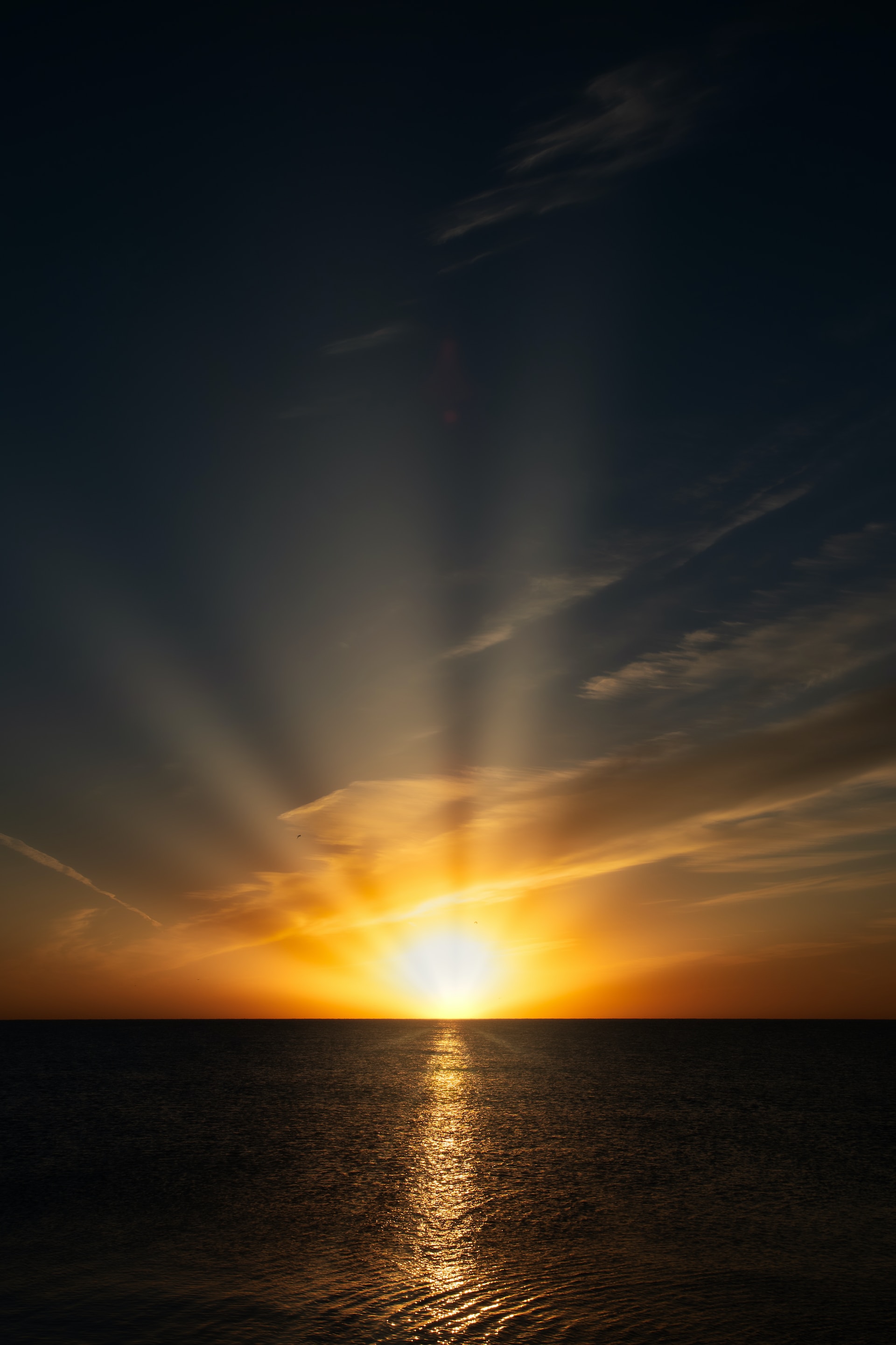 Foto de Todd Trapani en Unsplash