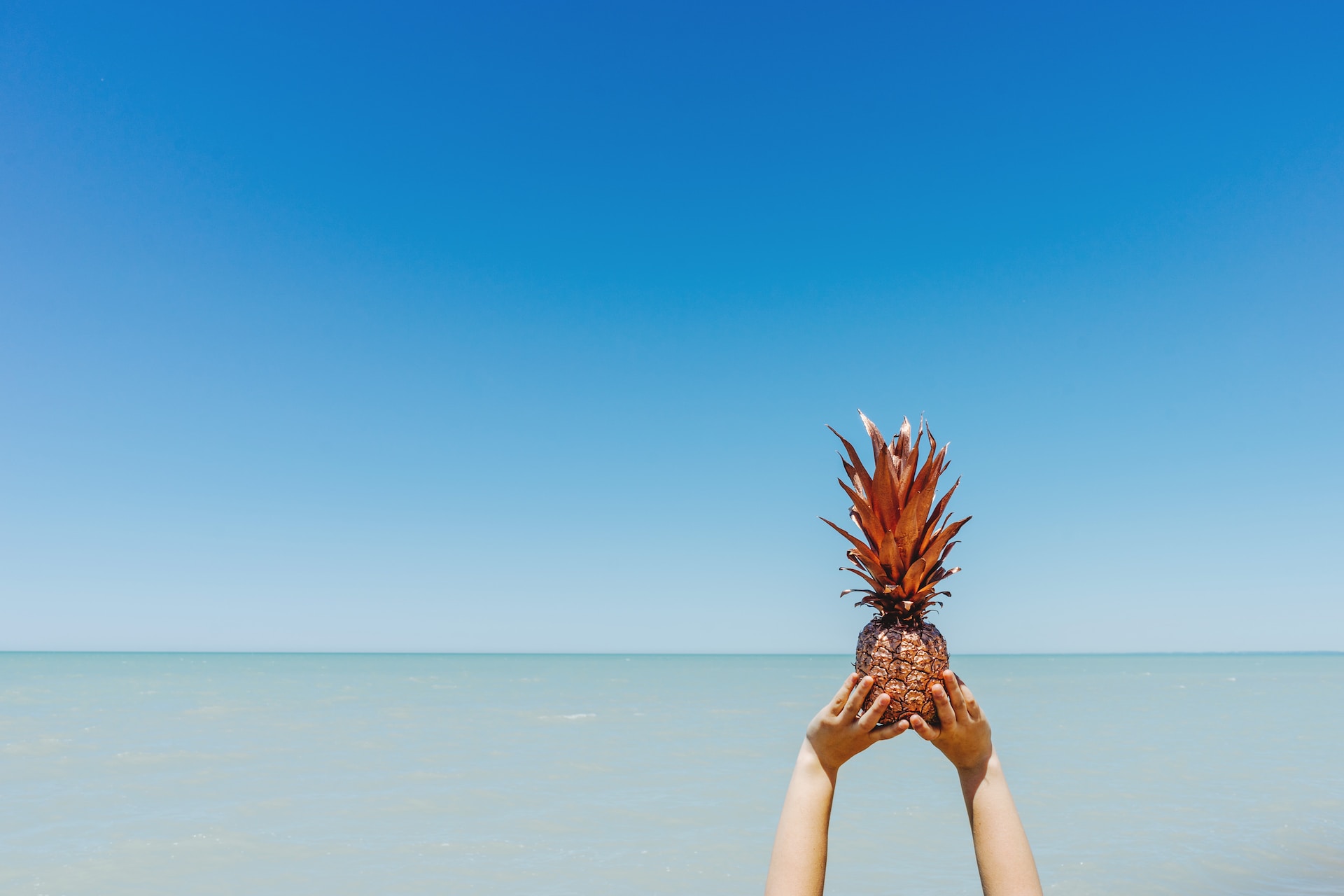 Foto de Pineapple Supply Co. en Unsplash