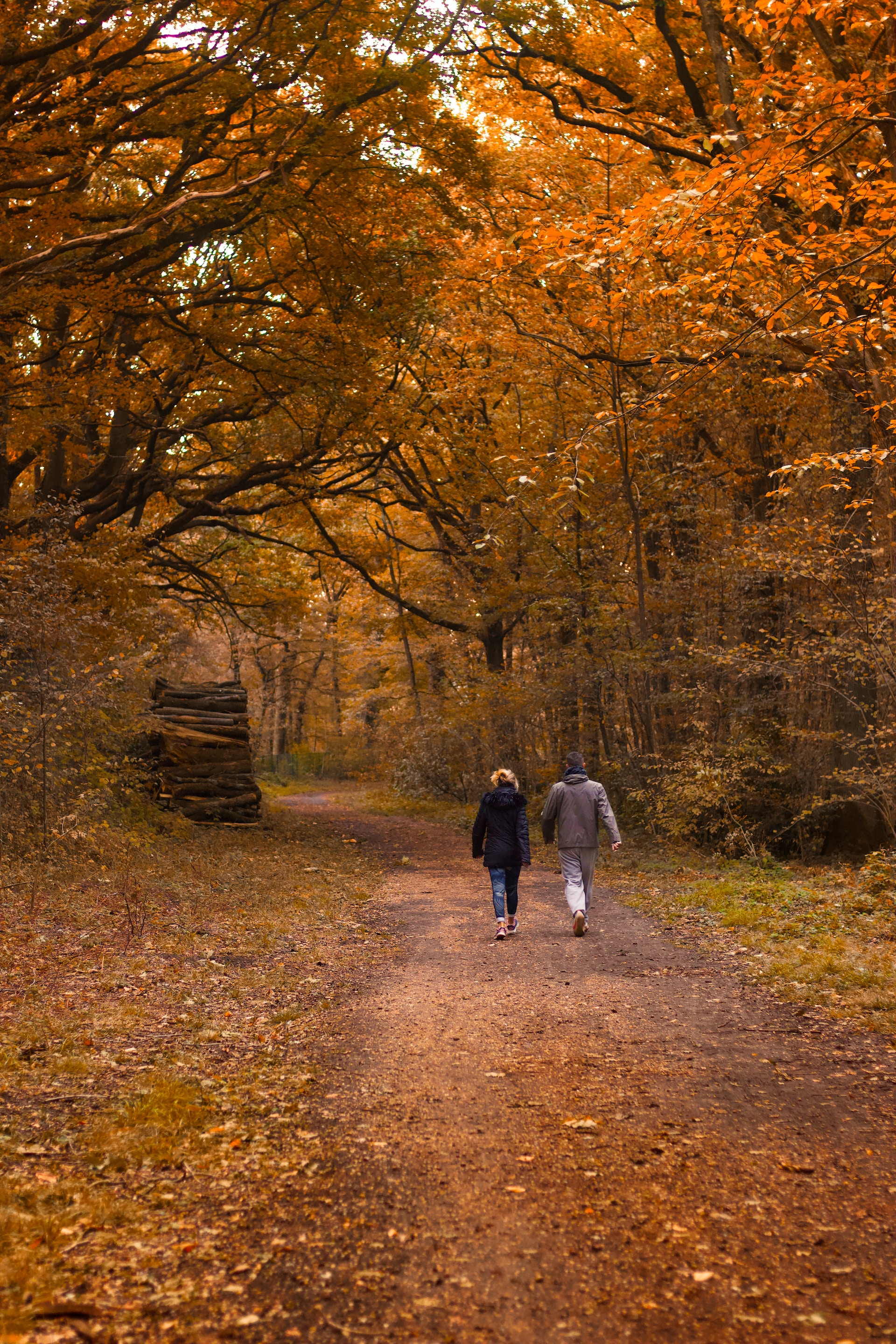 Foto de Annie Spratt en Unsplash