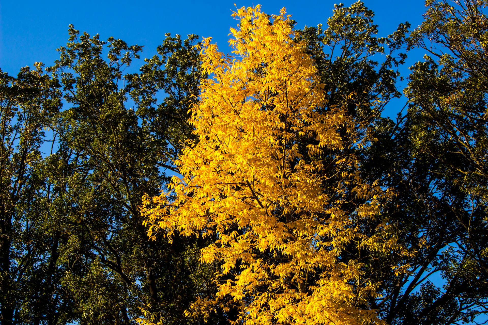 Foto de Gary Fultz en Unsplash