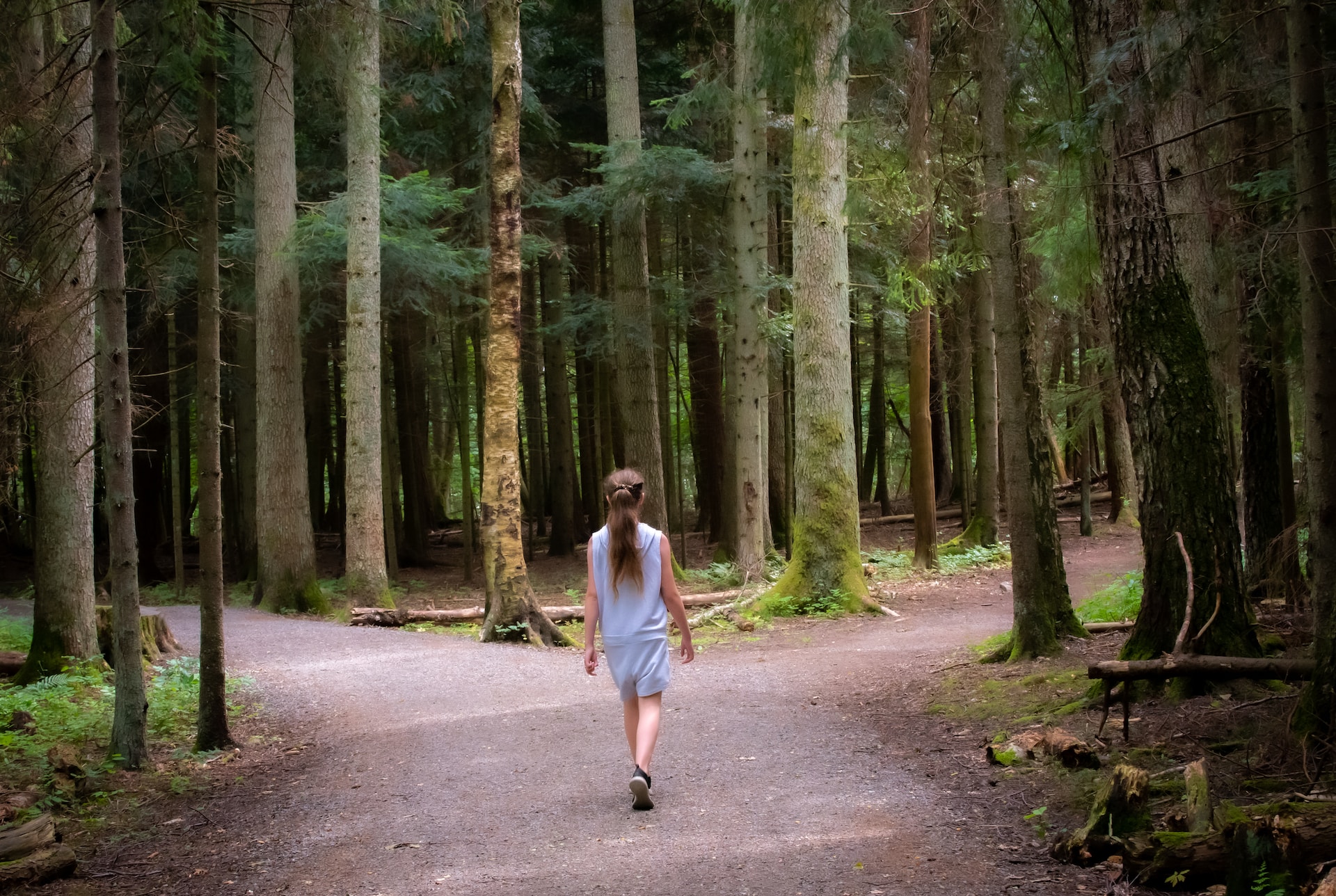 Foto de Einar Storsul en Unsplash