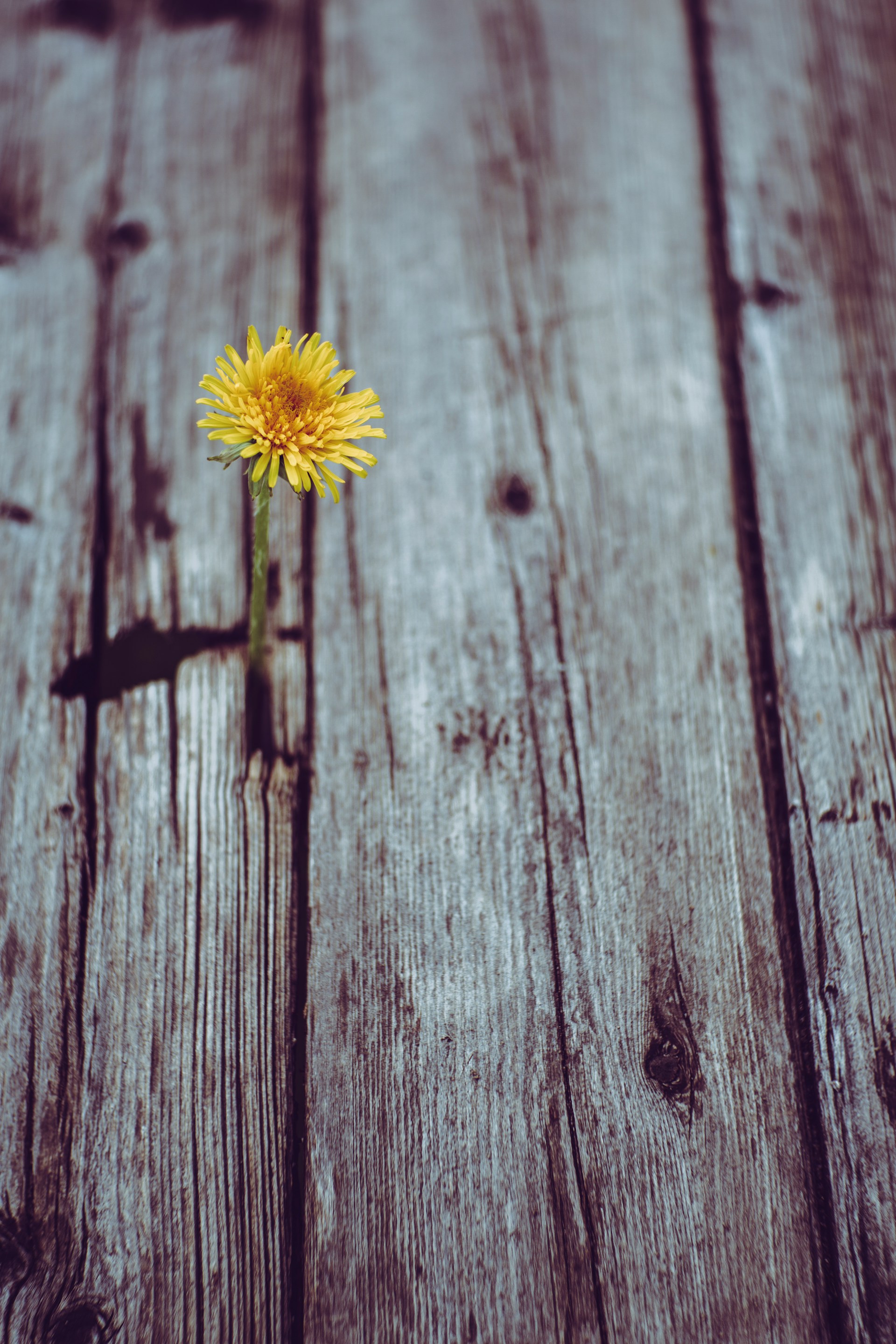 Foto de Markus Spiske en Unsplash