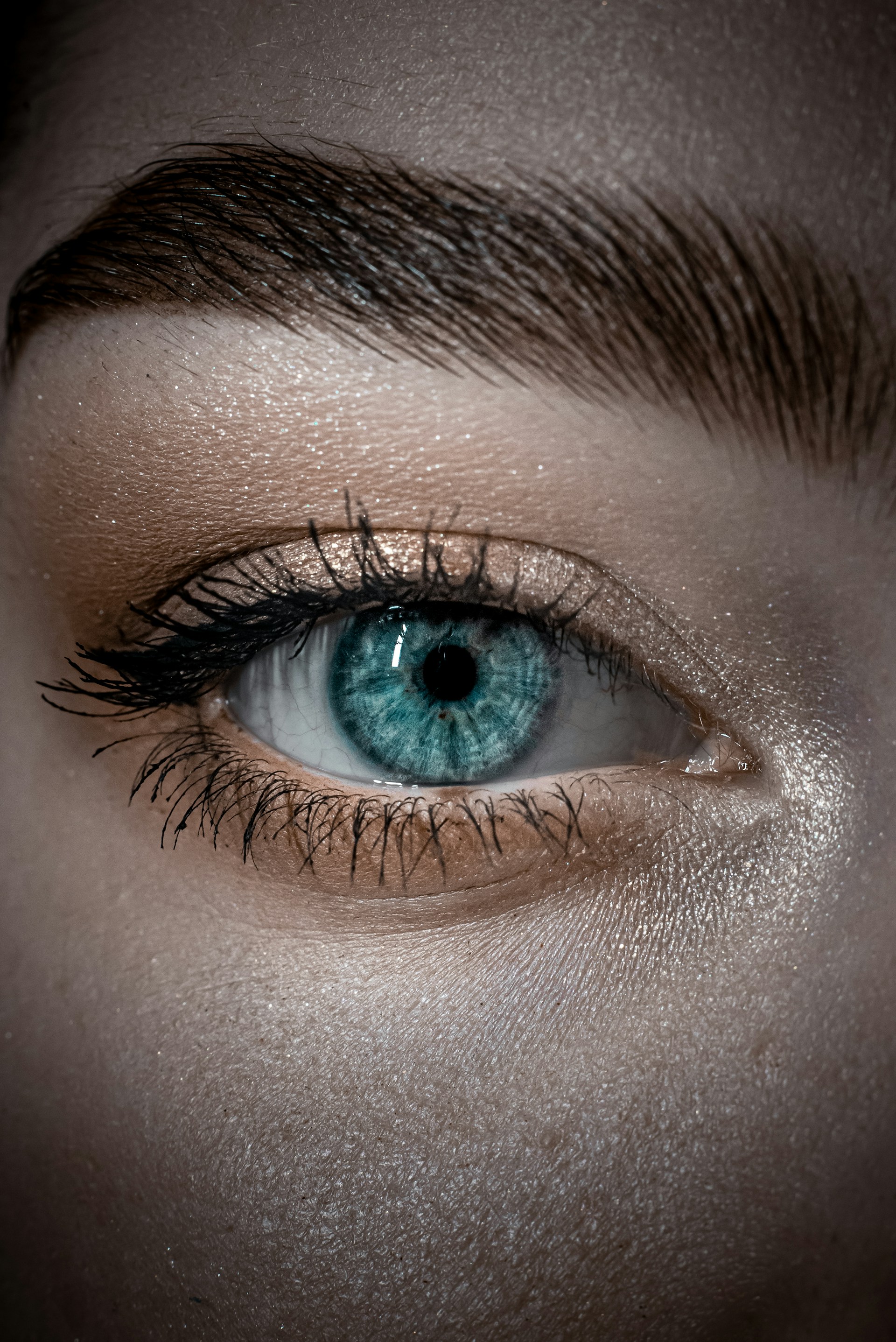Foto de Egor Vikhrev en Unsplash