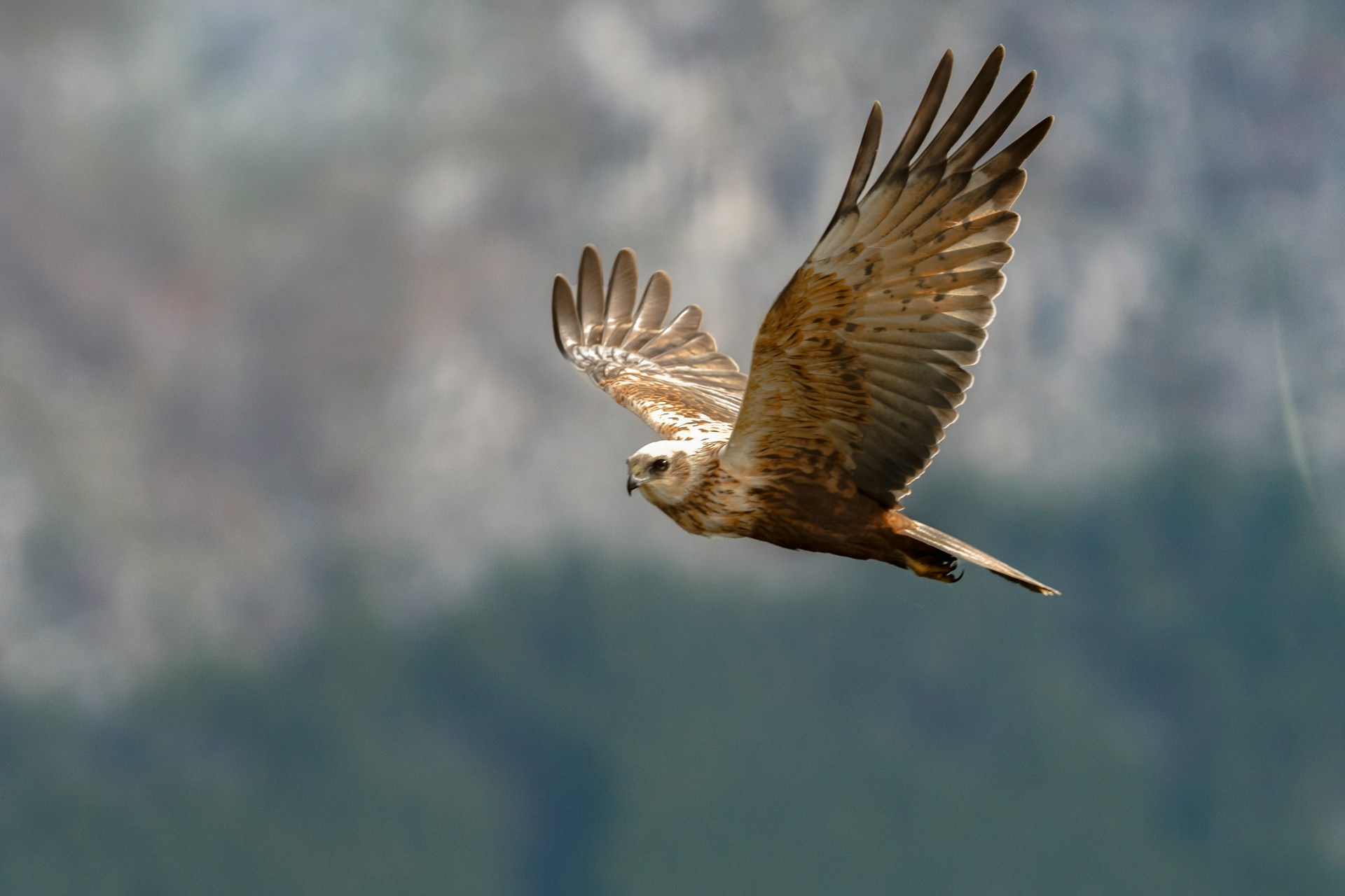 Foto de Emanuel Antonov en Unsplash Foto de Emanuel Antonov en Unsplash